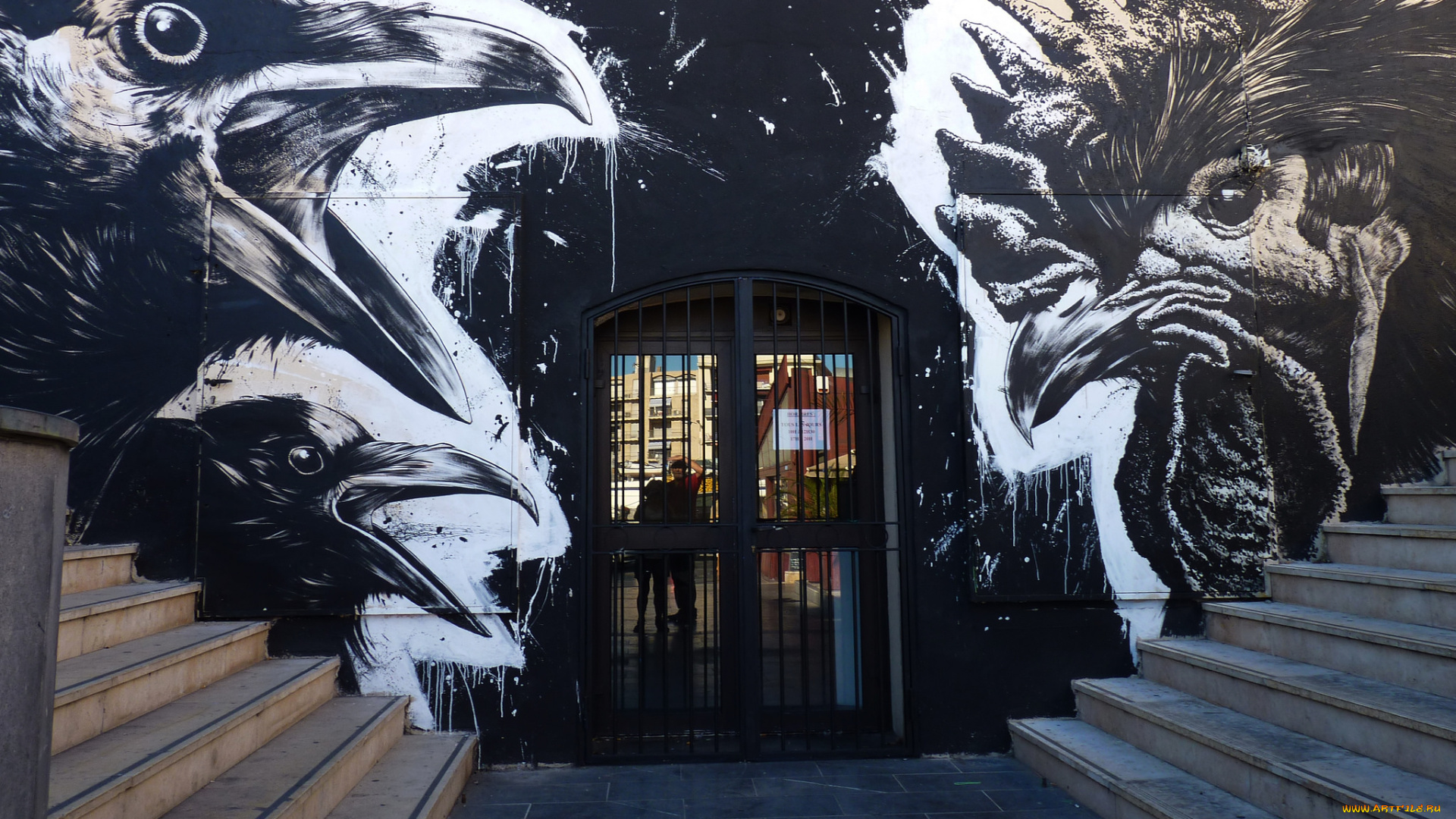 разное, граффити, птицы, вороны, петух, рисунки, графити, ступени