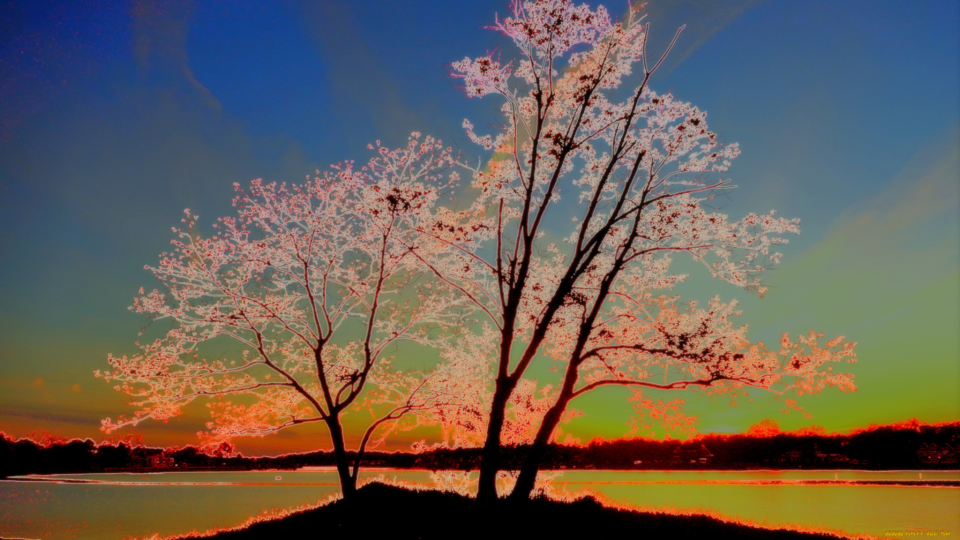 разное, компьютерный, дизайн, природа, обработка, сияние, деревья