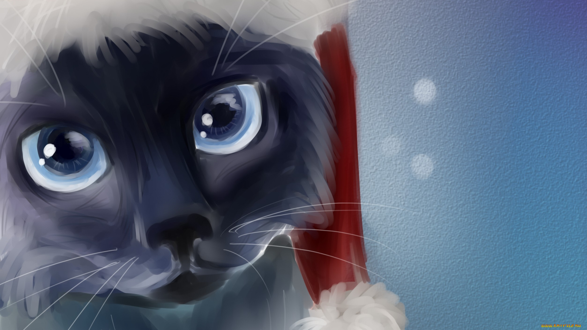 рисованное, животные, , коты, новый, год, арт, кот, мордочка, шапка