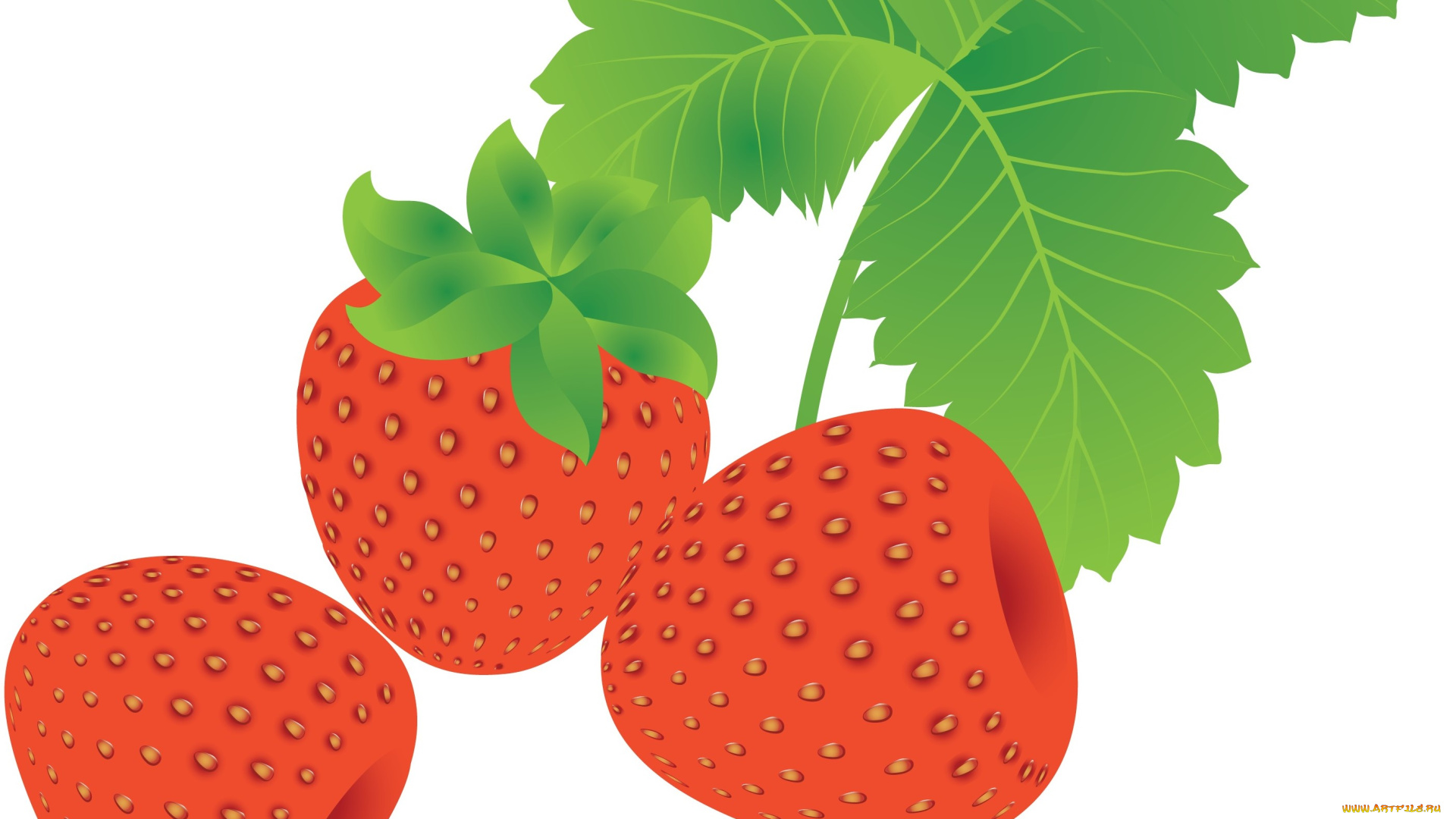 векторная, графика, еда, , food, листочки, клубника