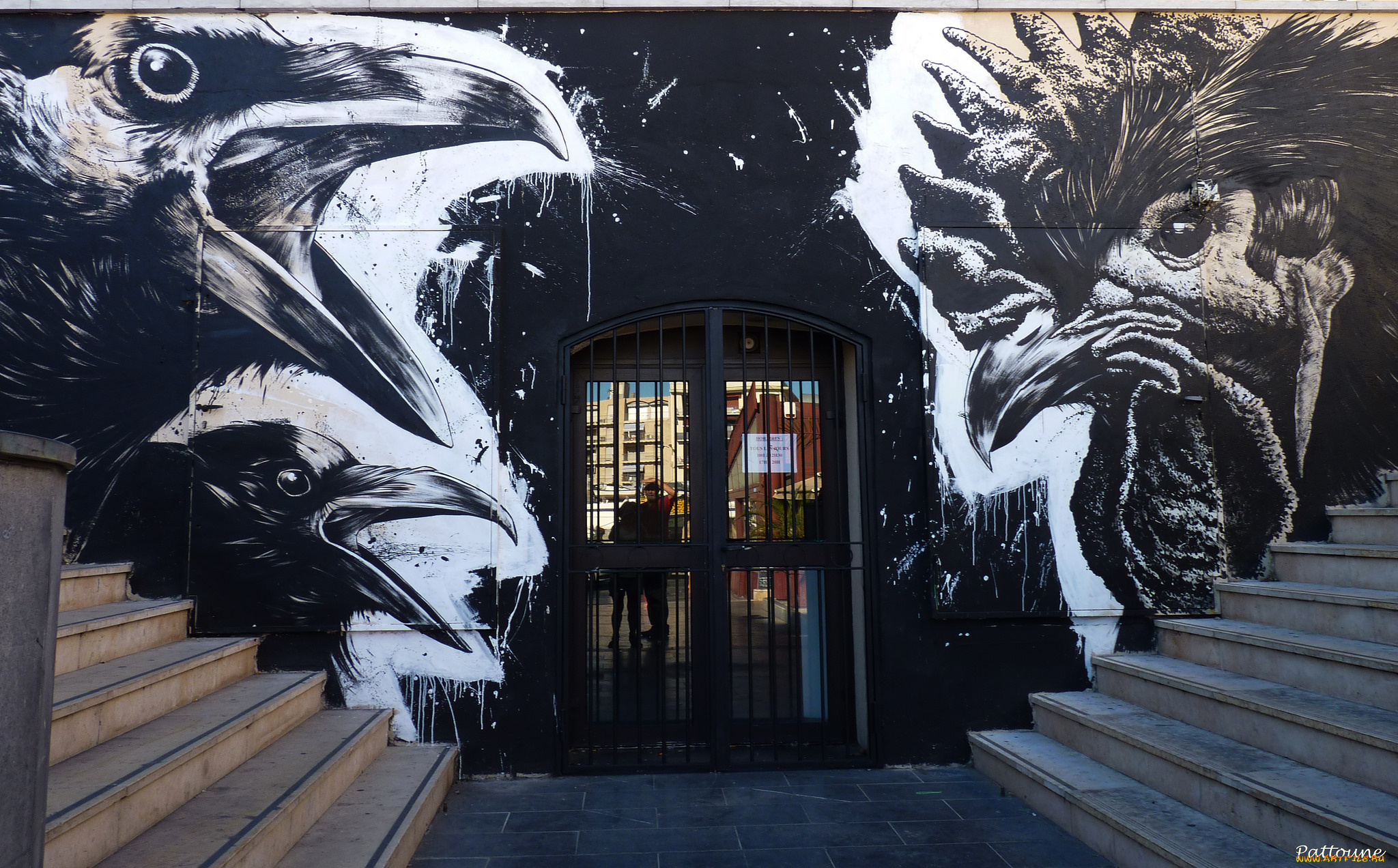 разное, граффити, птицы, вороны, петух, рисунки, графити, ступени