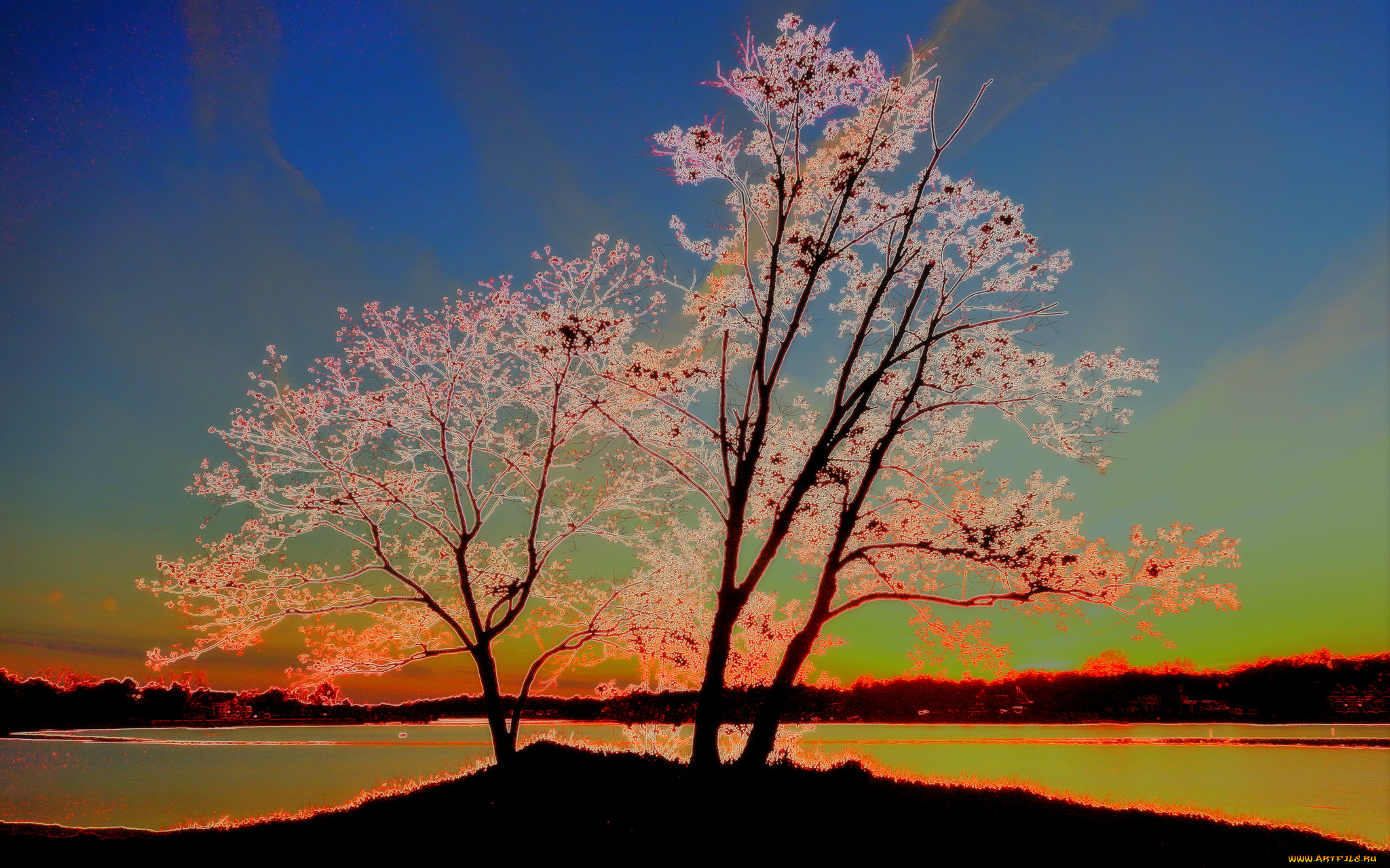 разное, компьютерный, дизайн, природа, обработка, сияние, деревья