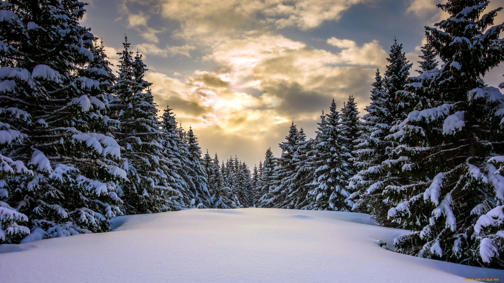 природа, зима, лес, снег