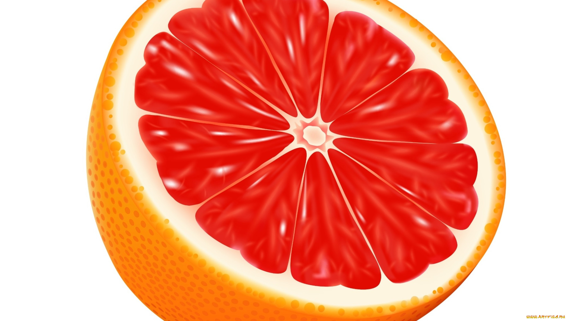 векторная, графика, еда, , food, апельсин, фон