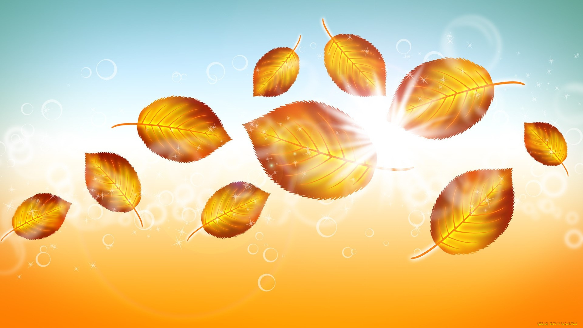 векторная, графика, природа, , nature, фон, осень, листья