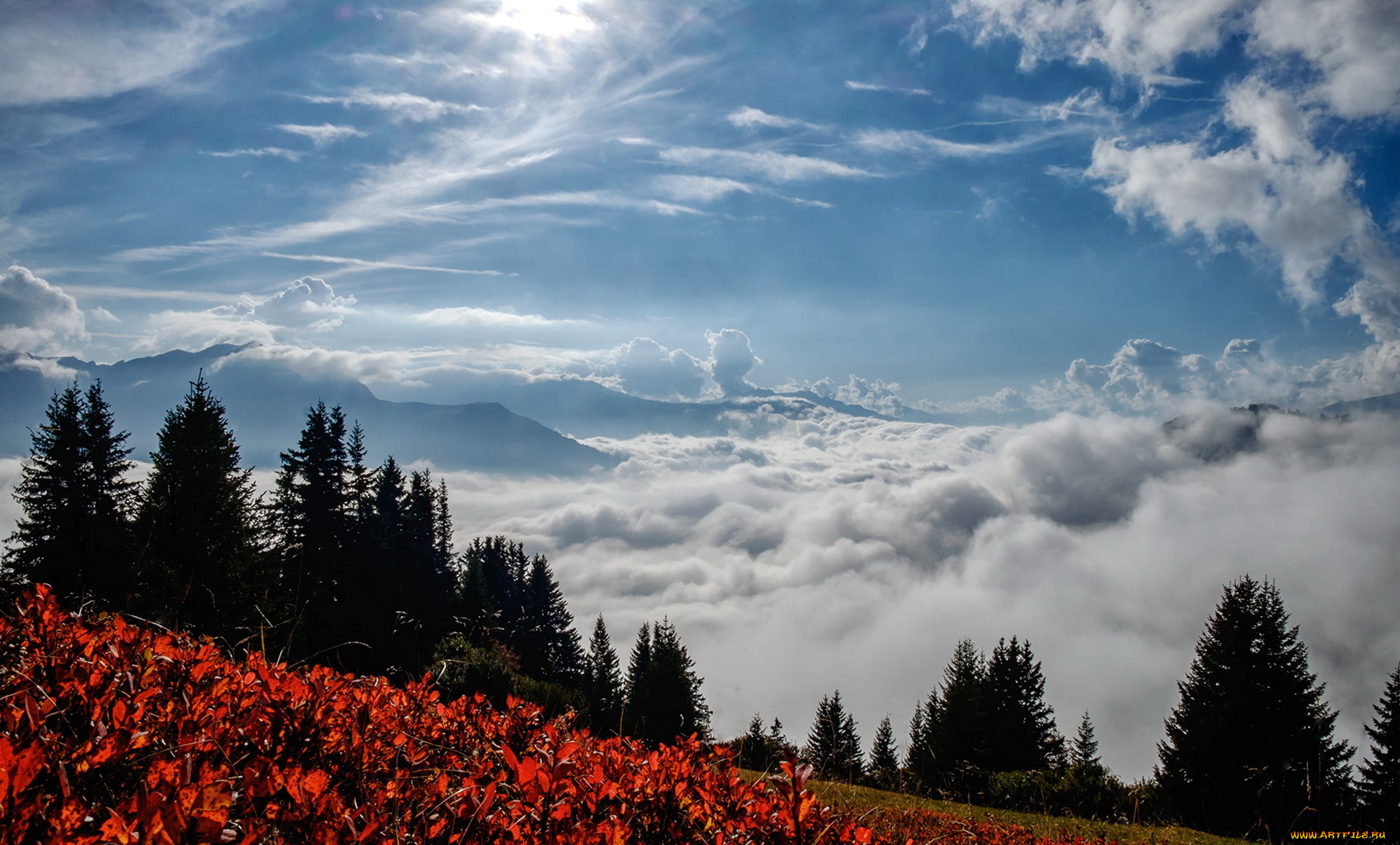 природа, пейзажи, небо, утро