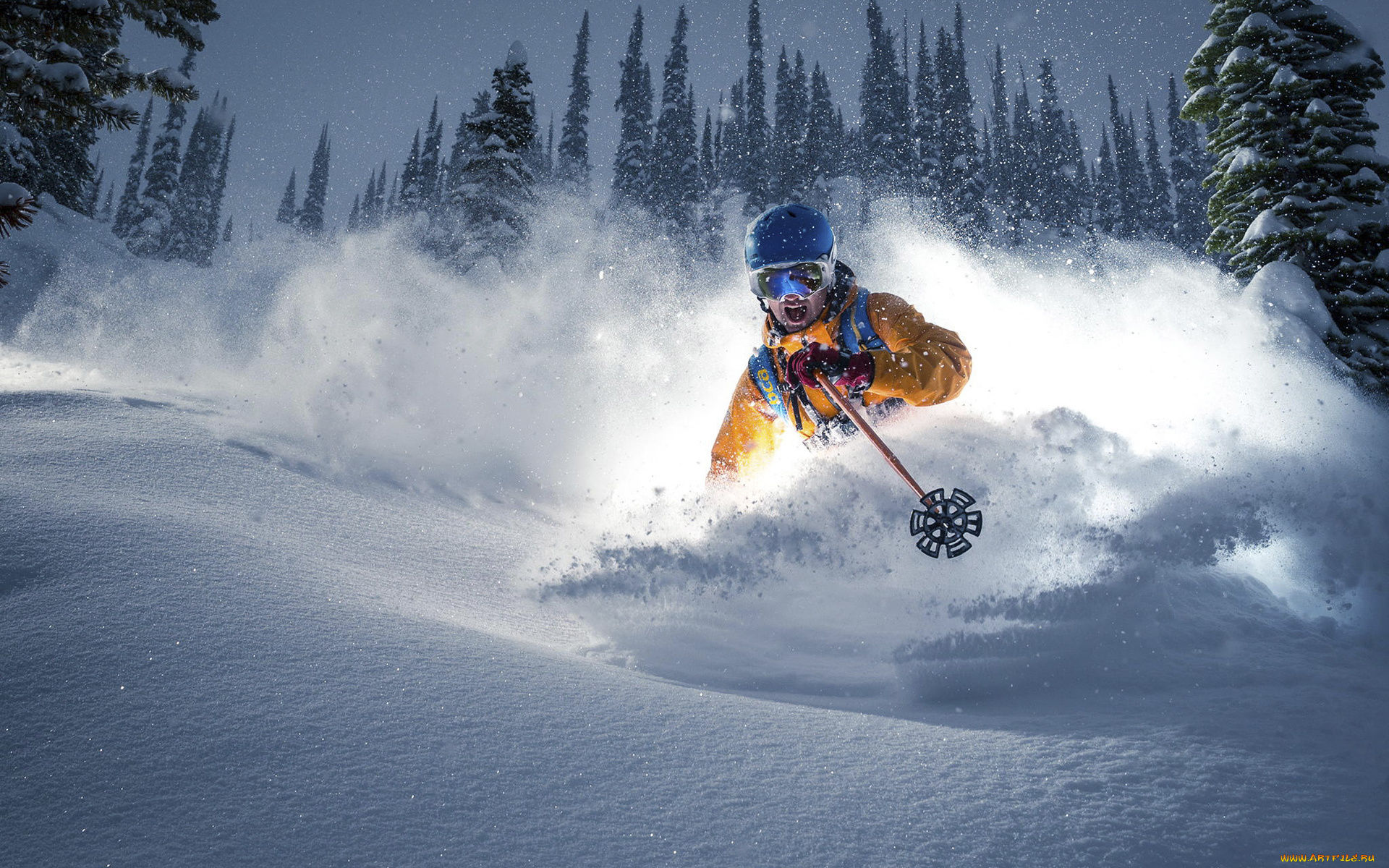 спорт, лыжный, спорт, снег, лыжник
