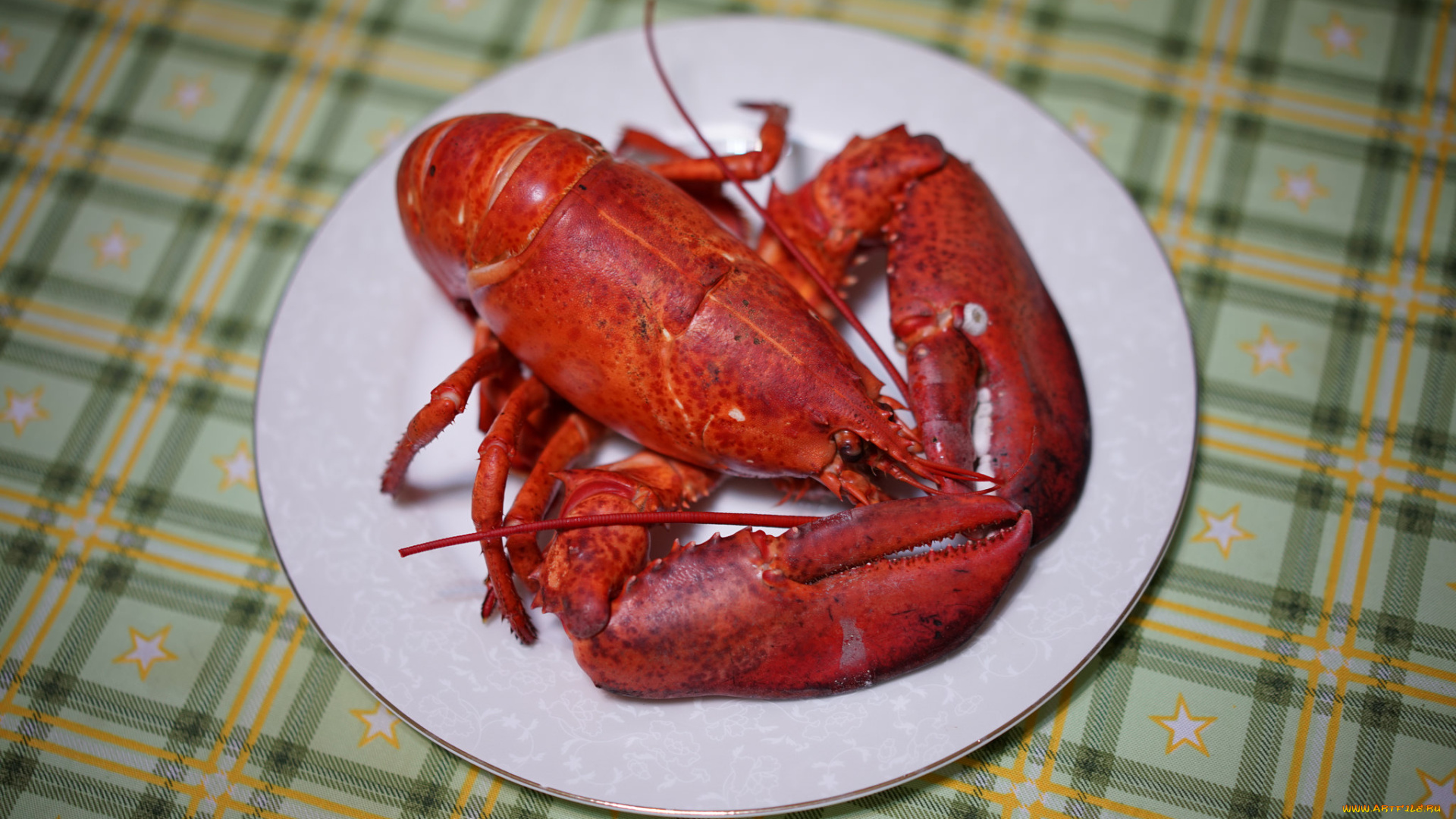 еда, рыба, , морепродукты, , суши, , роллы, деликатесы