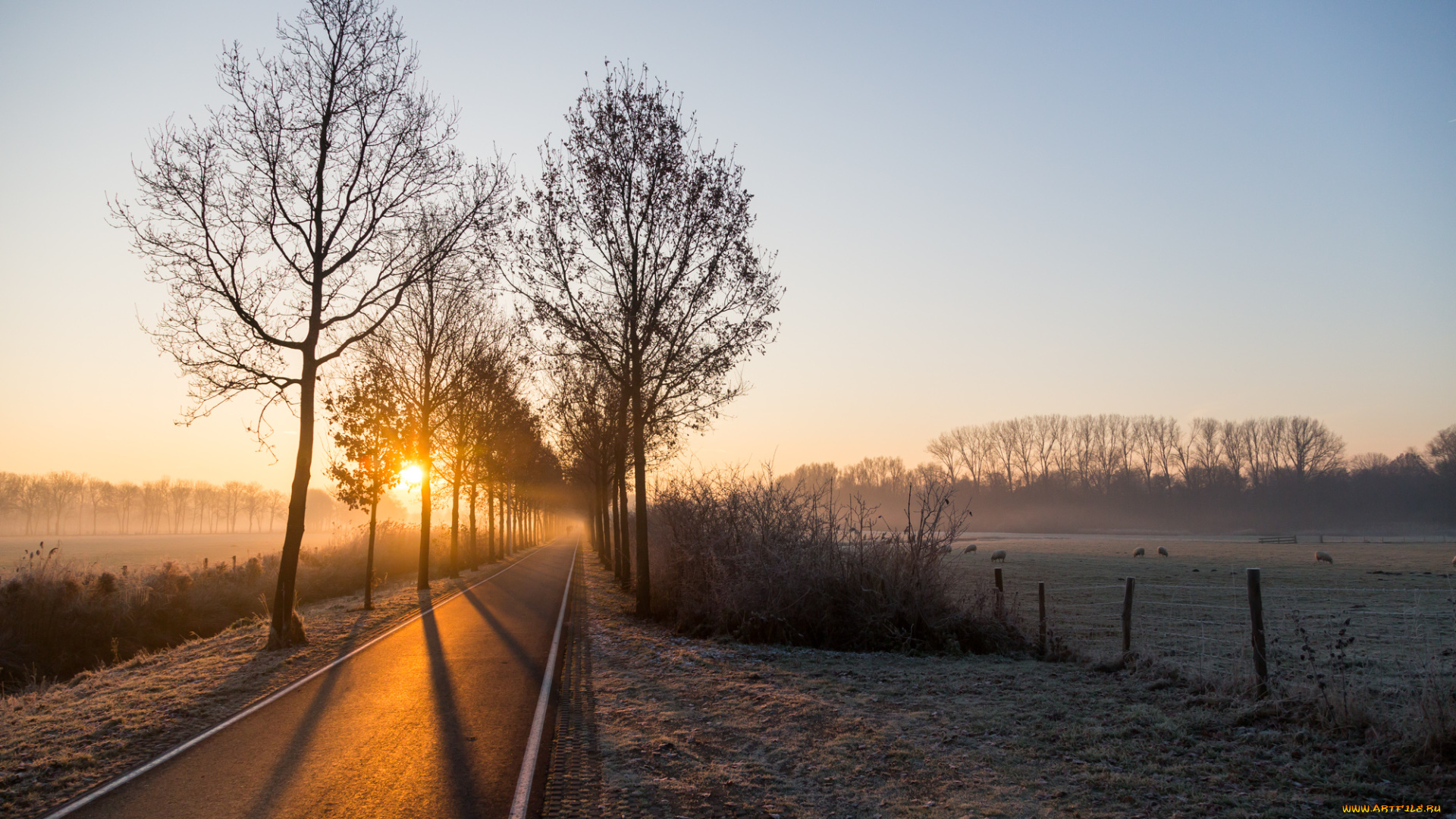 природа, дороги, рассвет