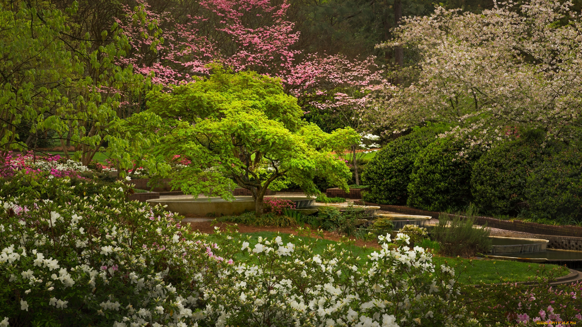 природа, парк, простор