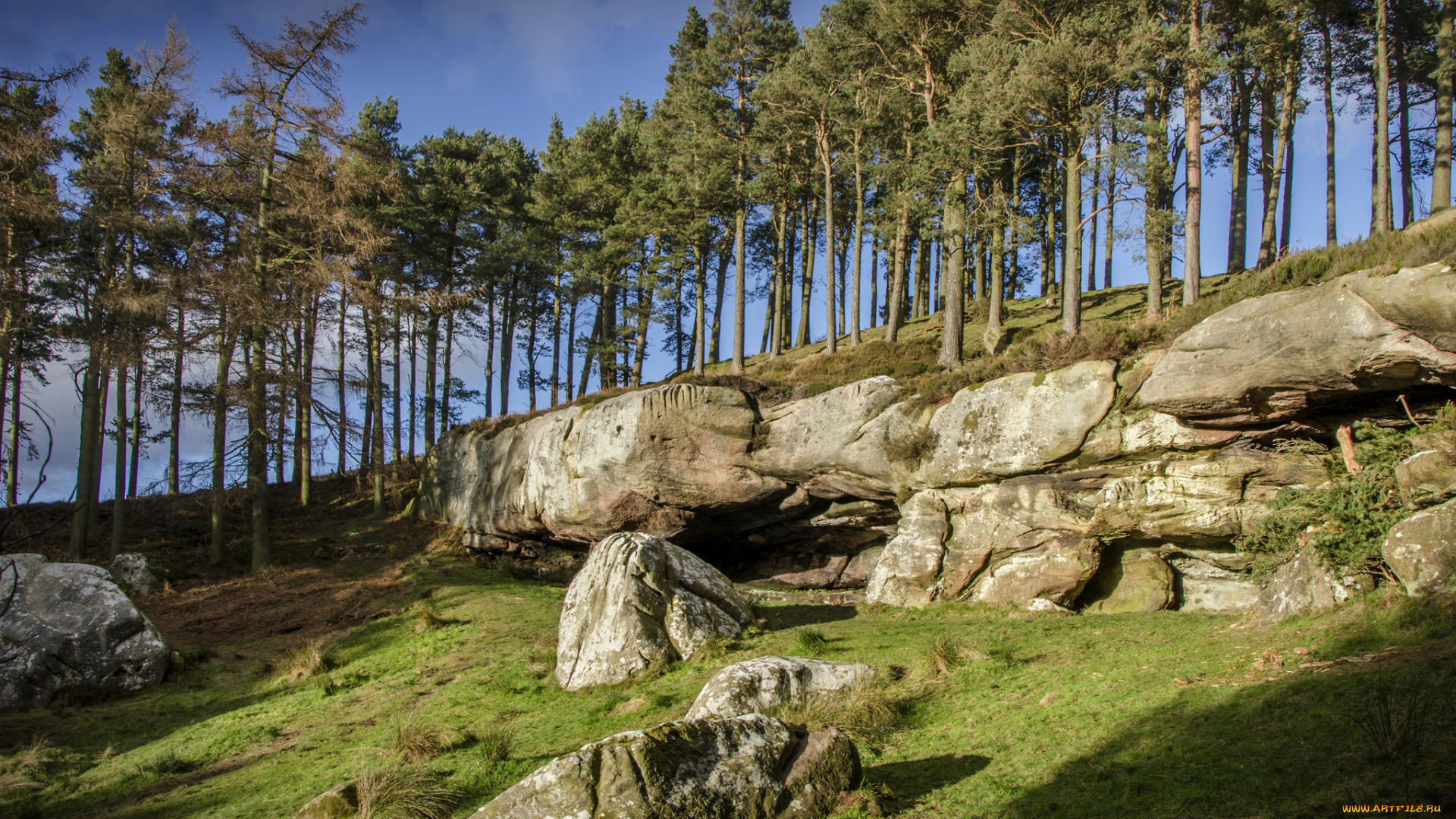 природа, пейзажи, простор