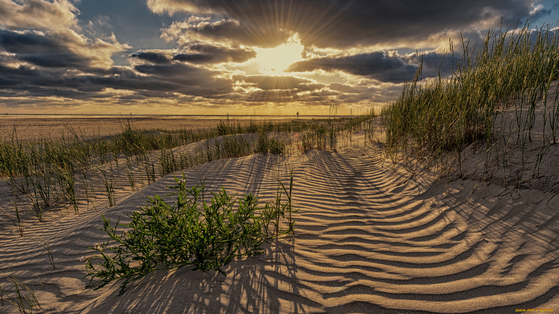 природа, побережье, берег, море