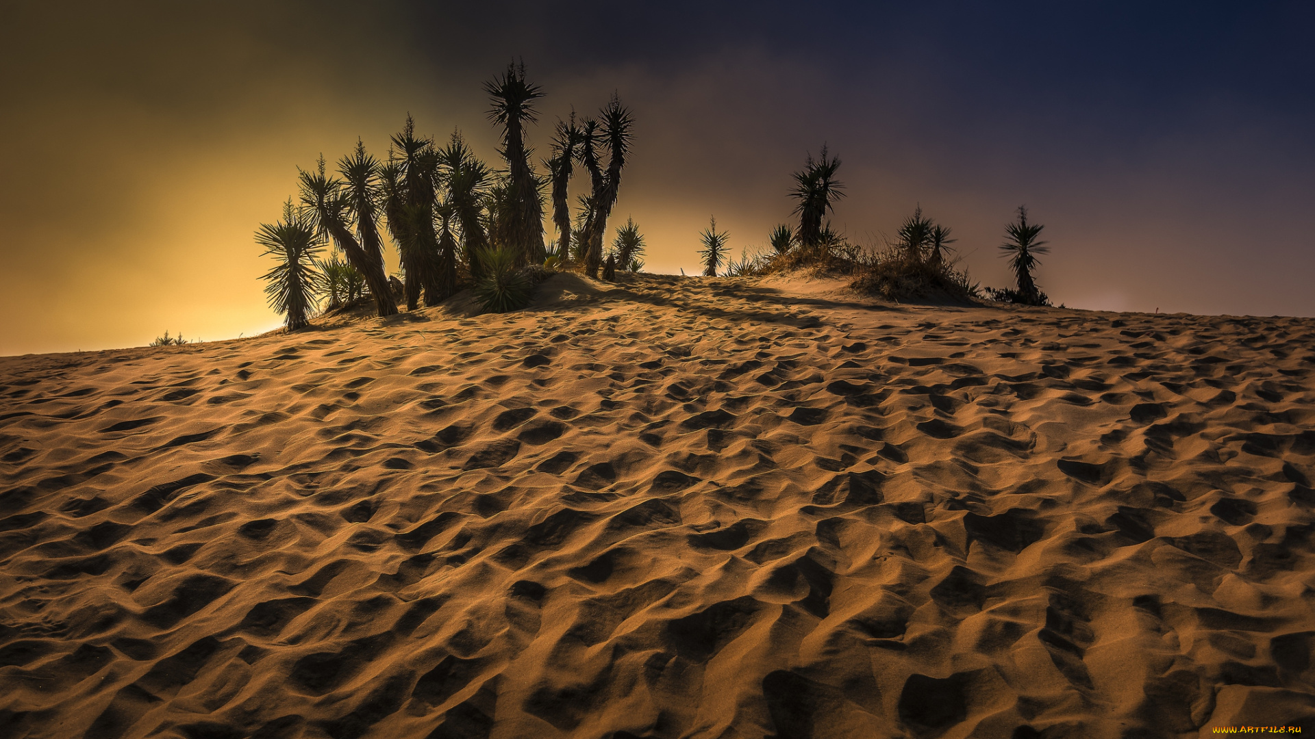 природа, пустыни, простор