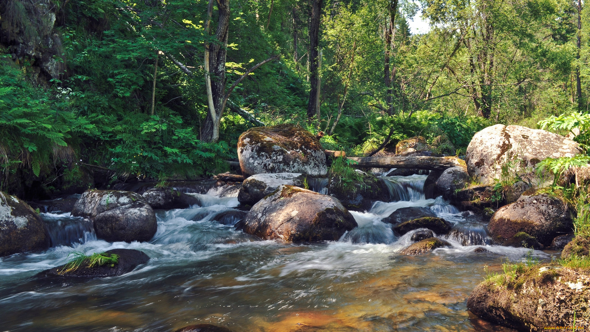 природа, реки, озера, лес, камни, река