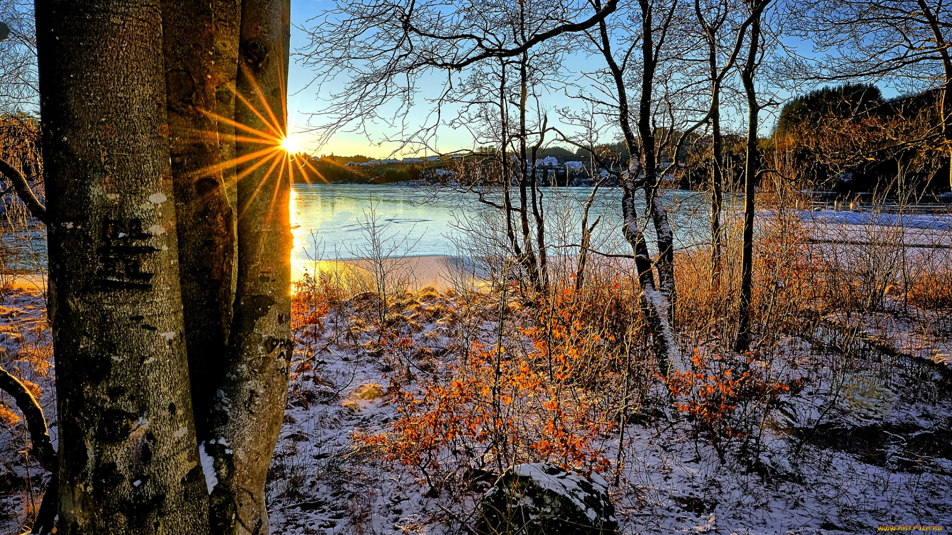 природа, реки, озера, лес, река