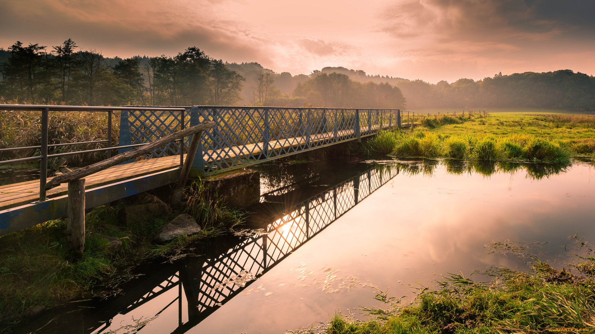 природа, реки, озера, река, лес