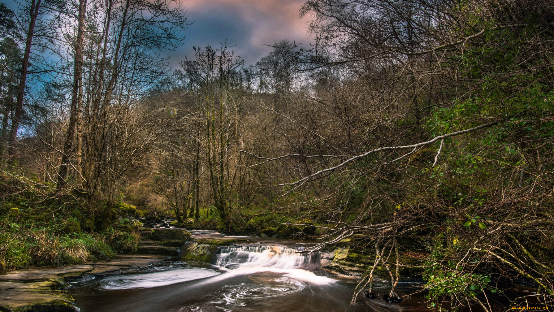 природа, реки, озера, река, лес