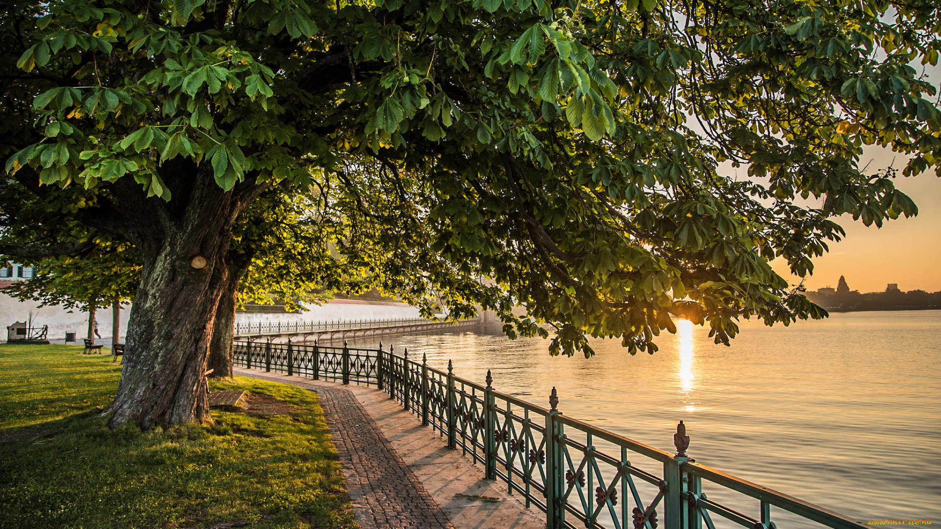 природа, реки, озера, река, лес