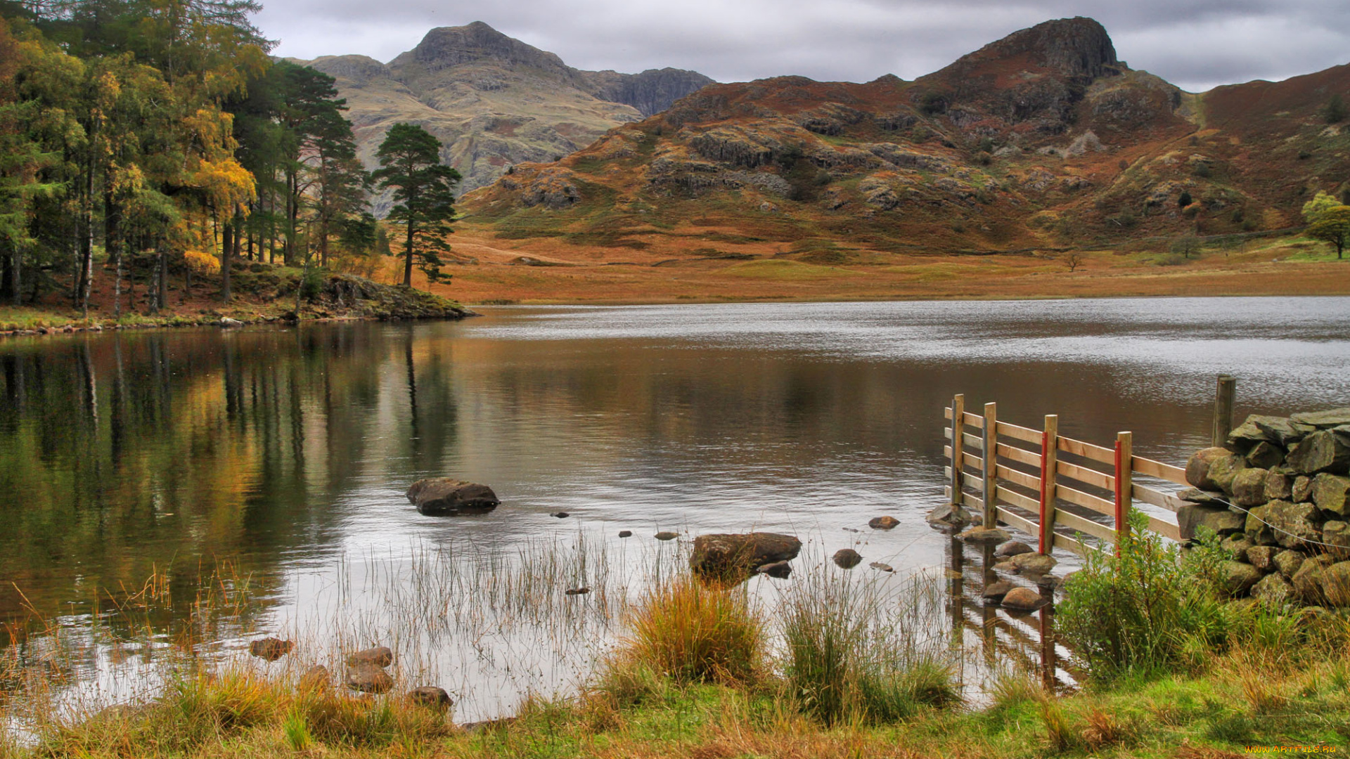 природа, реки, озера, река, лес