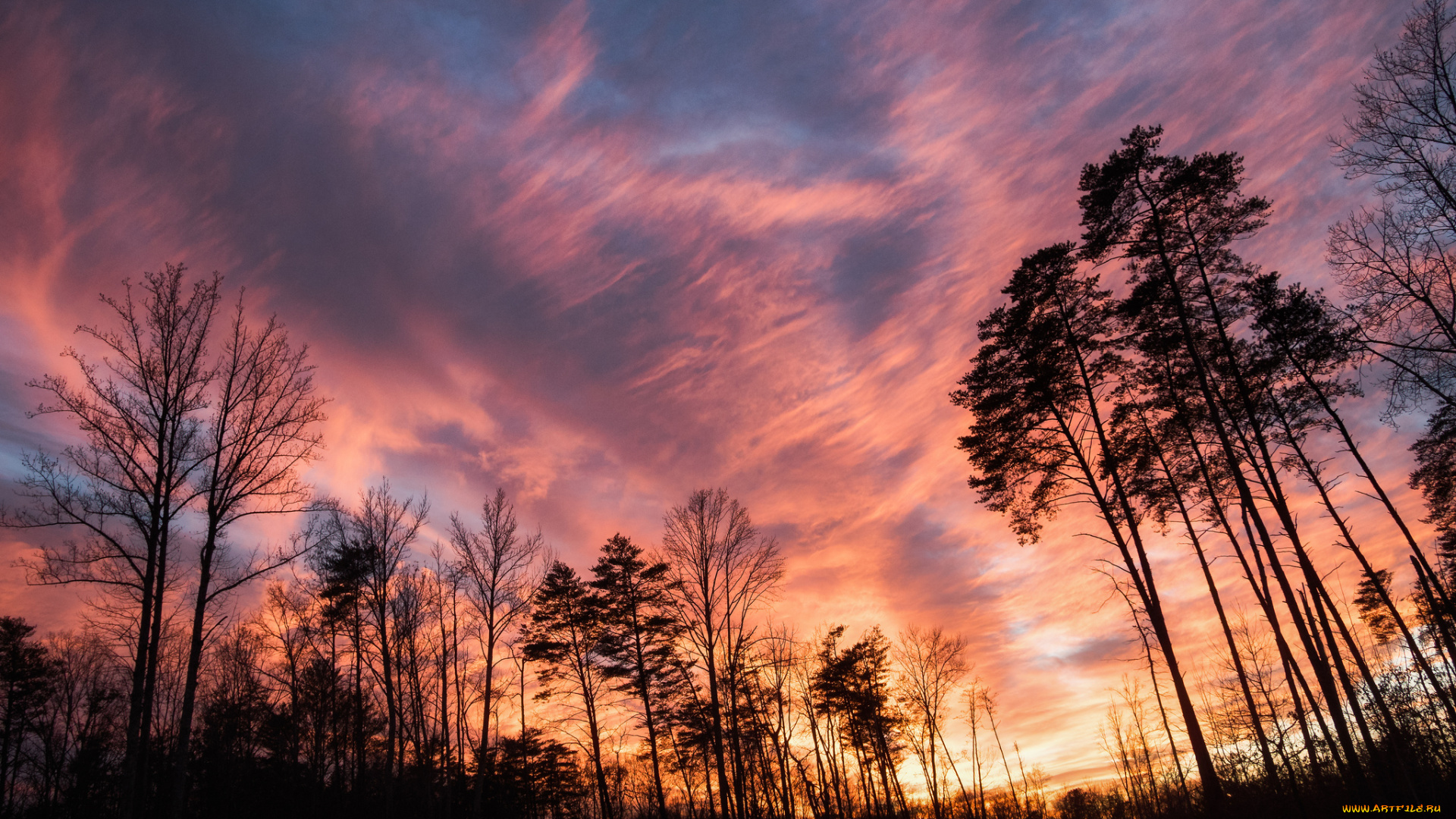 природа, восходы, закаты, рассвет
