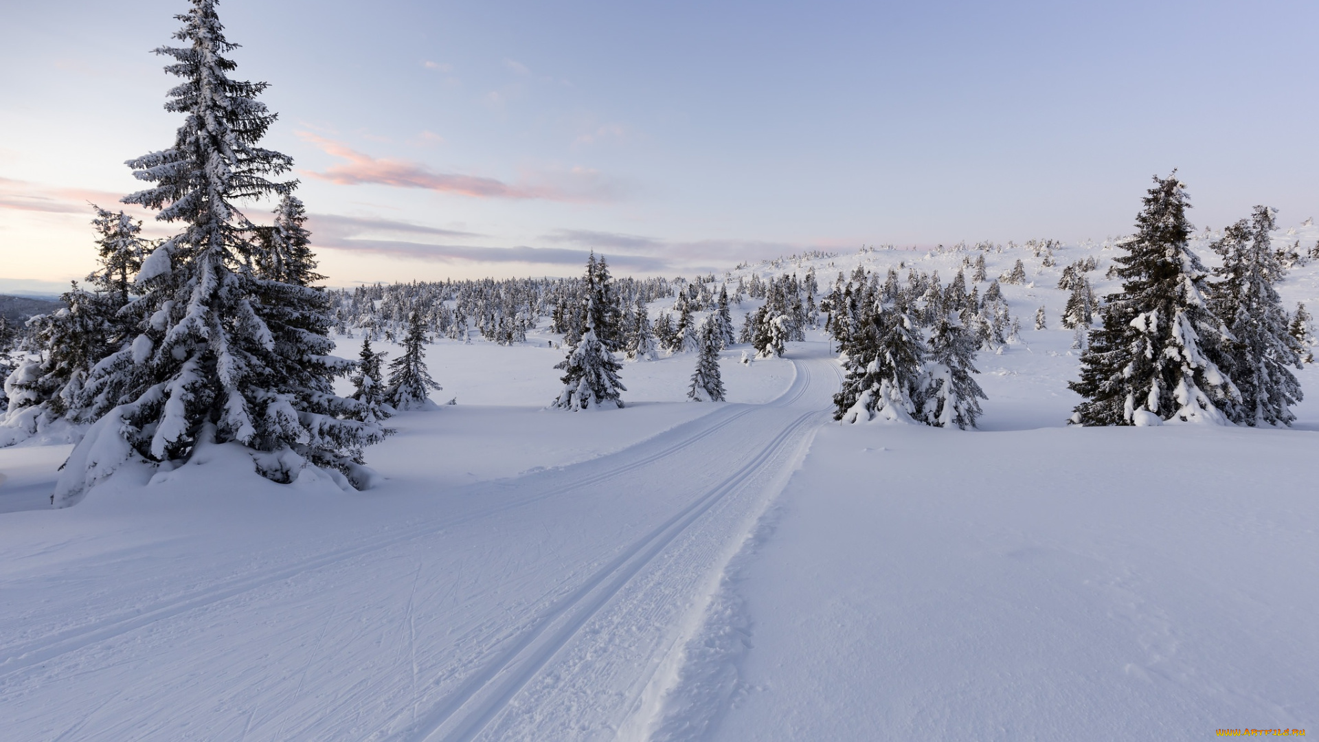 природа, зима, norway, норвегия, снег, lillehammer, деревья