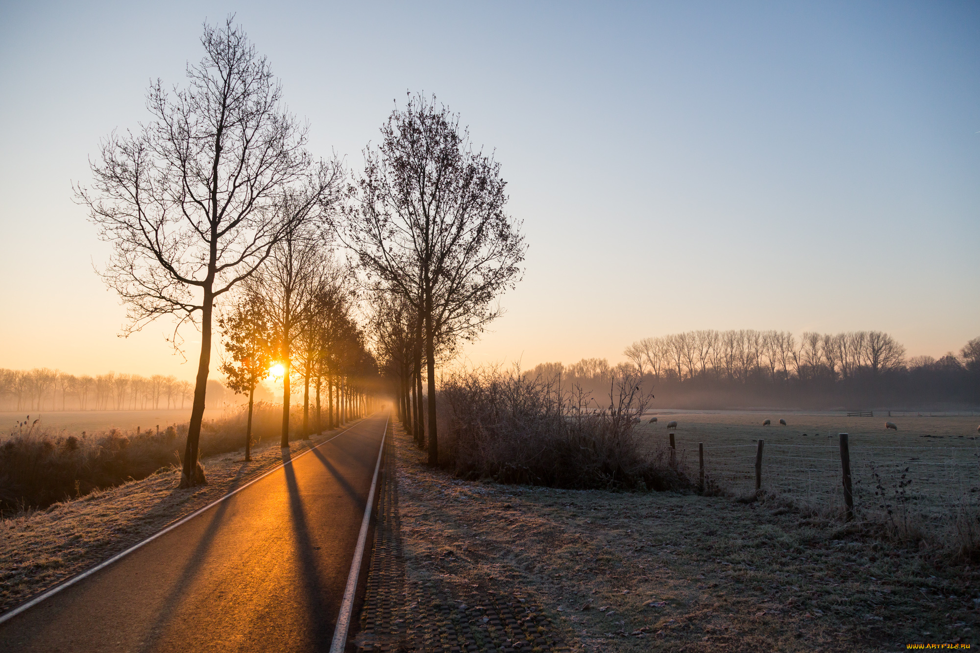 природа, дороги, рассвет