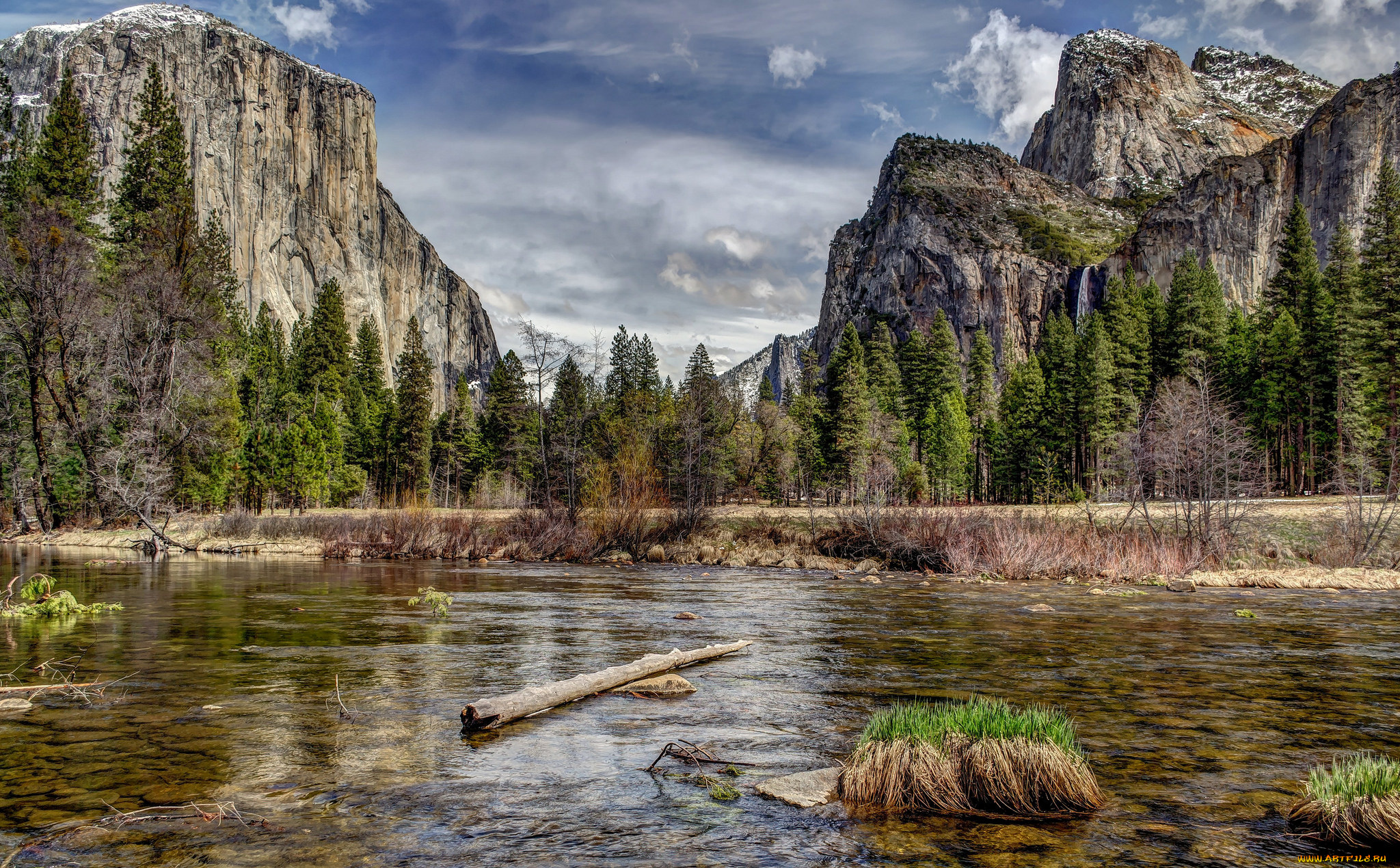 природа, реки, озера, река, лес