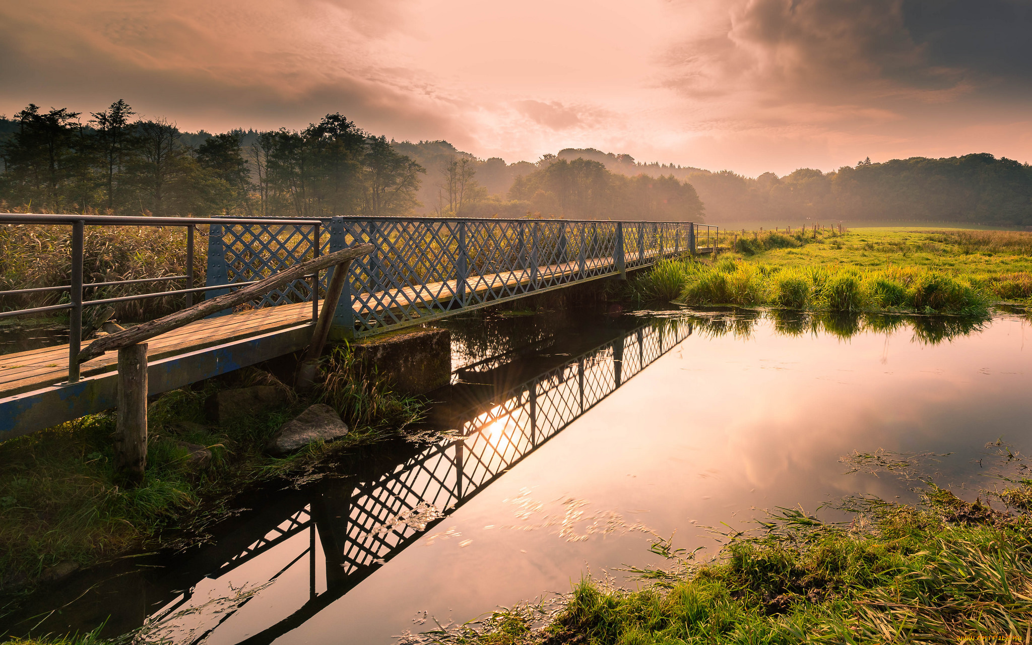 природа, реки, озера, река, лес