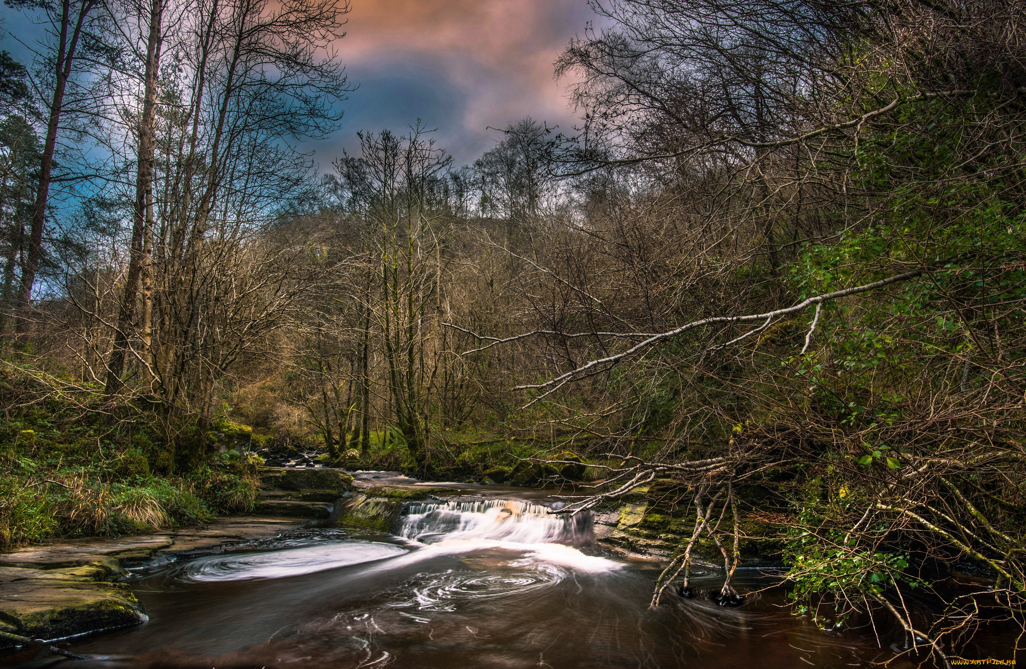 природа, реки, озера, река, лес