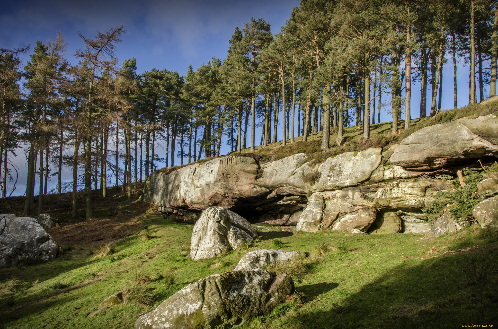 природа, пейзажи, простор