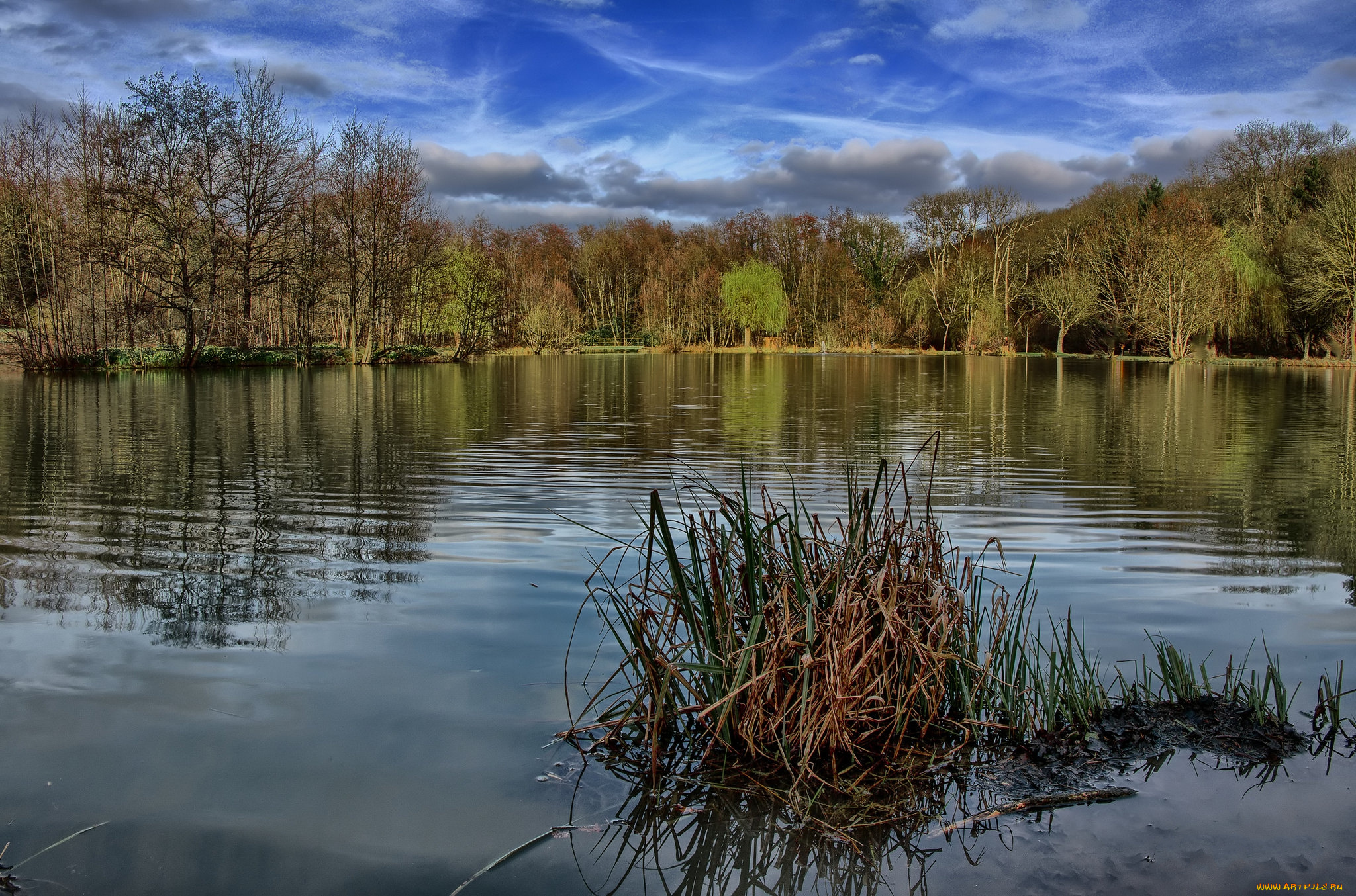 природа, реки, озера, река, лес