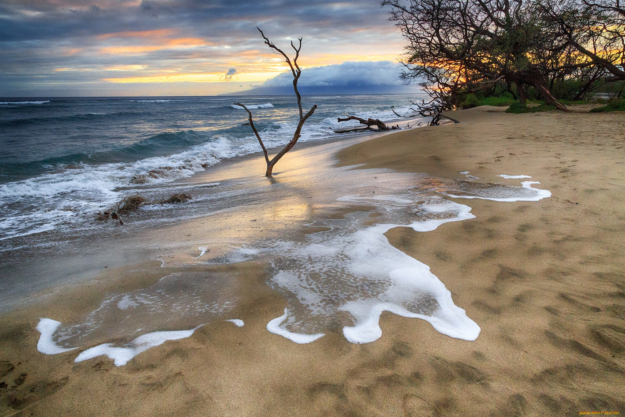 природа, побережье, берег, море