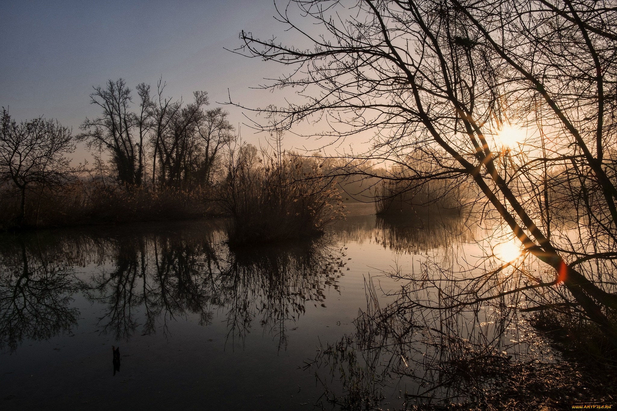 природа, реки, озера, лес, река