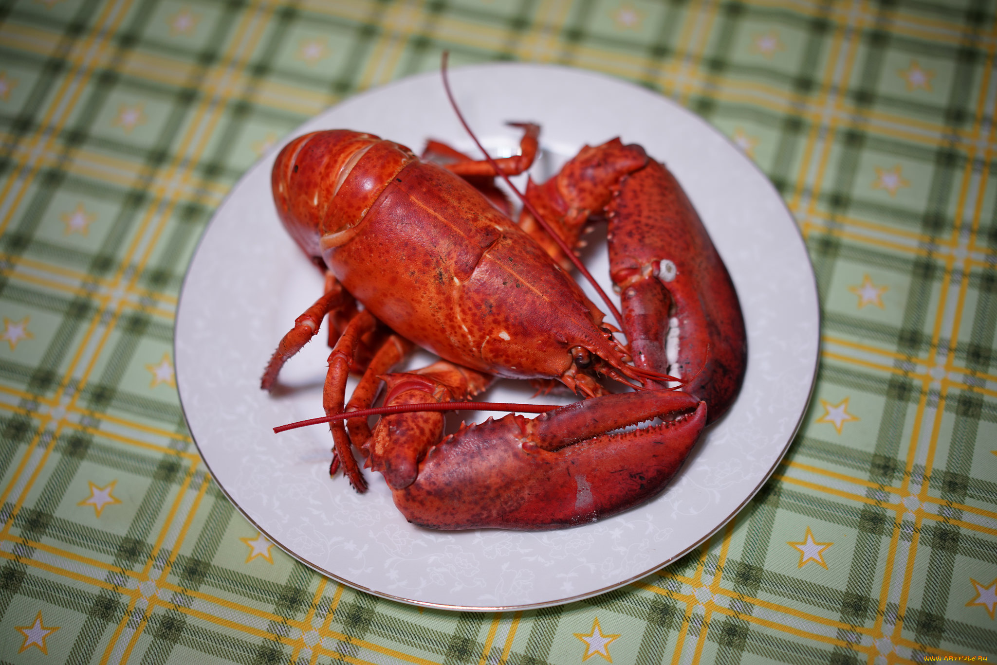 еда, рыба, , морепродукты, , суши, , роллы, деликатесы