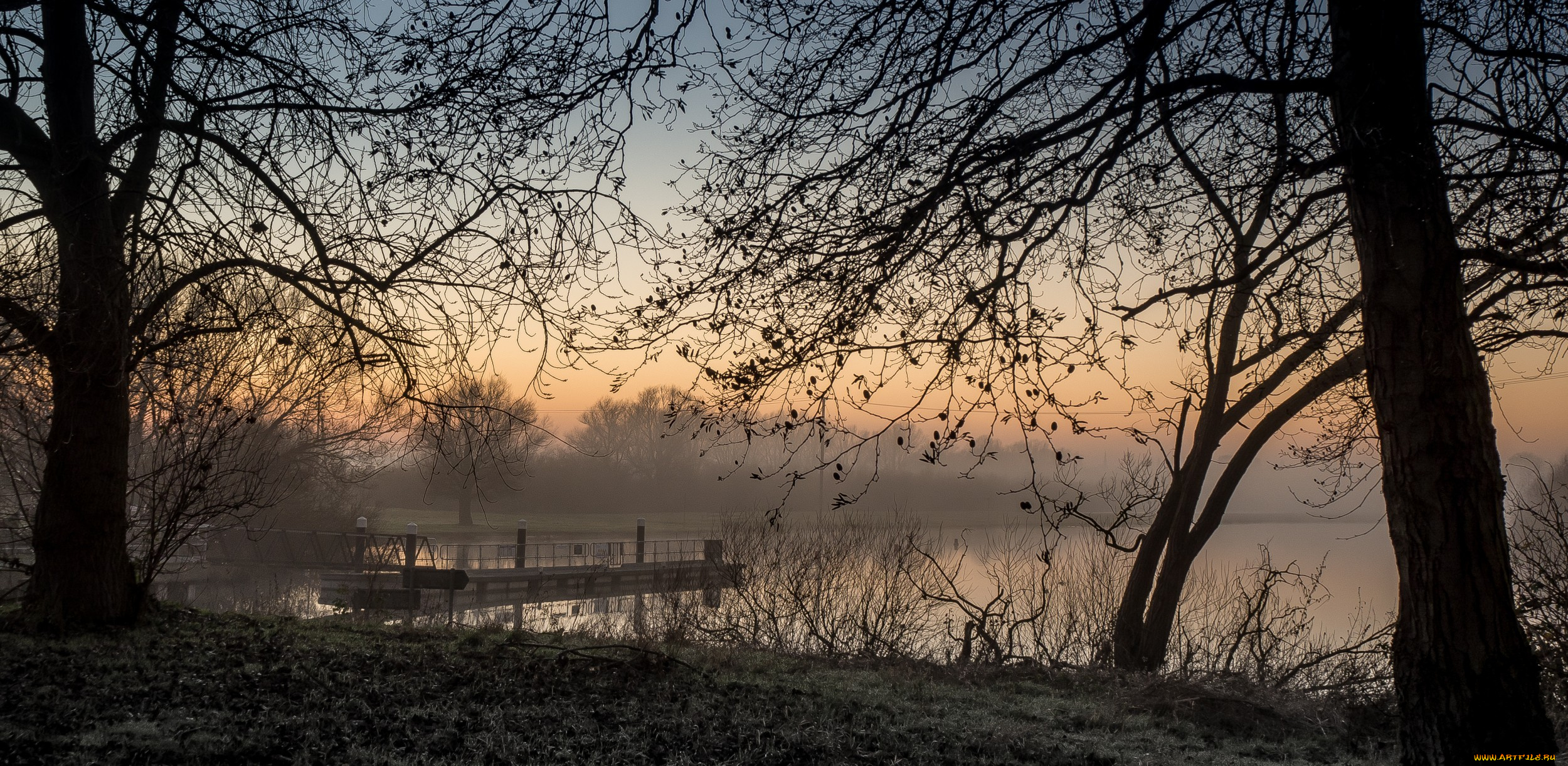 природа, реки, озера, река, лес