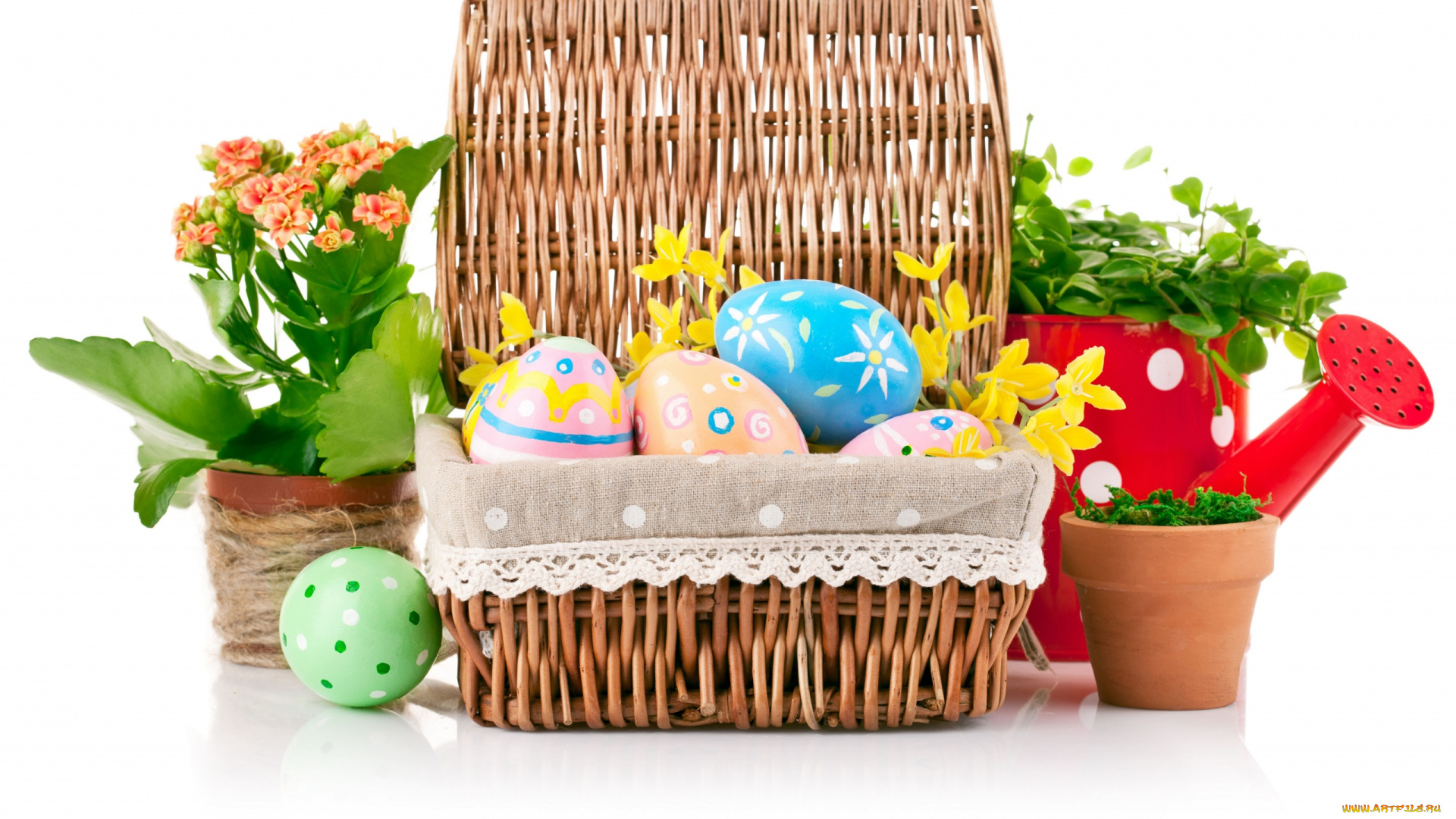 праздничные, пасха, фон, яйца