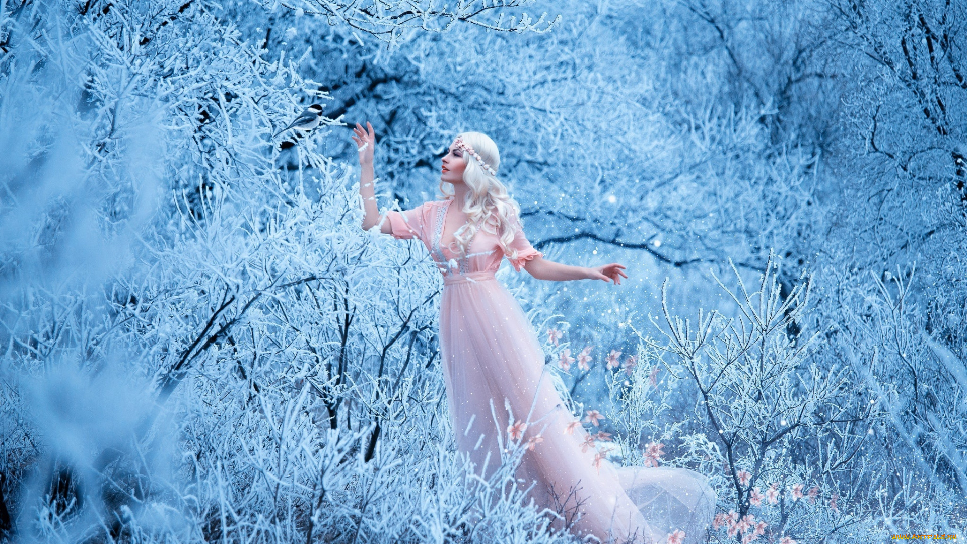 девушки, -unsort, , креатив, макияж, поза, ветки, цветы, снег, деревья, платье