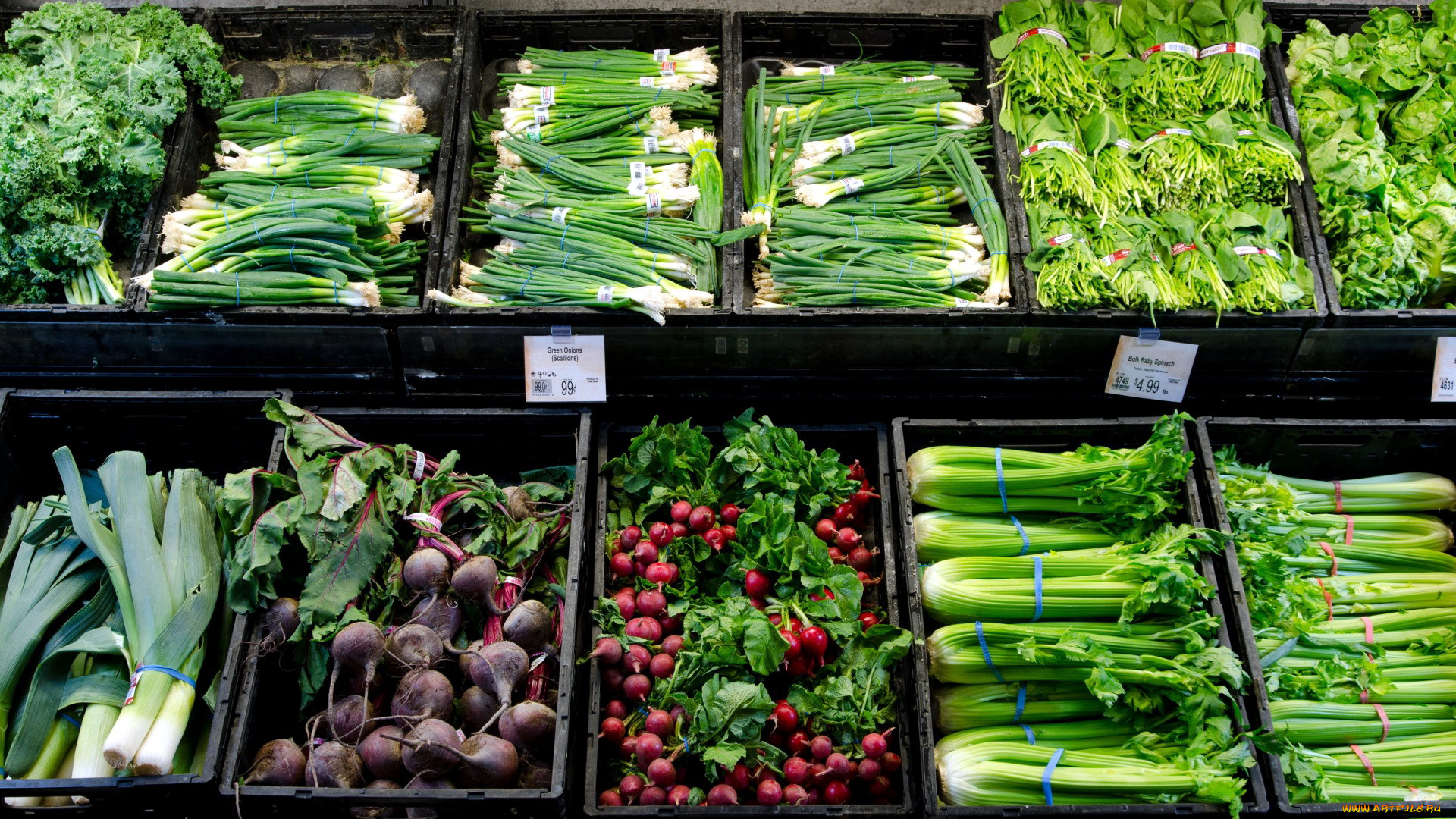 еда, овощи, лук, редис, свекла, сельдерей