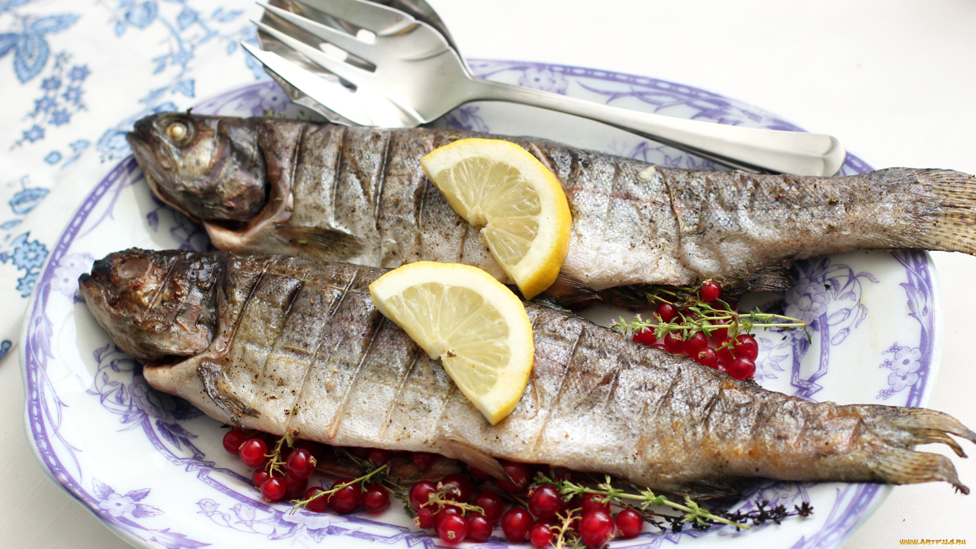 еда, рыбные, блюда, , с, морепродуктами, форель