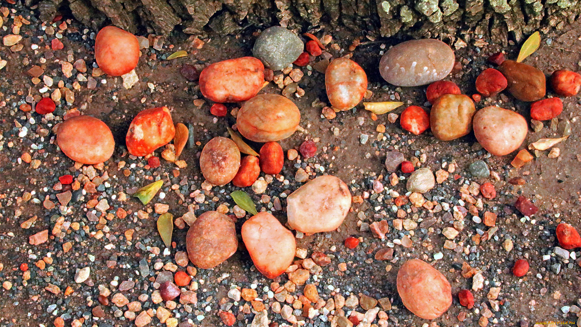 эротика, брюнетки, , шатенки, squatting, serena, savanna, a, wood, грудь, фон, взгляд, девушка, elivira, f, anna, amanda, outdoors, naked, garden, ass, amelia, sharlotta, j, doria