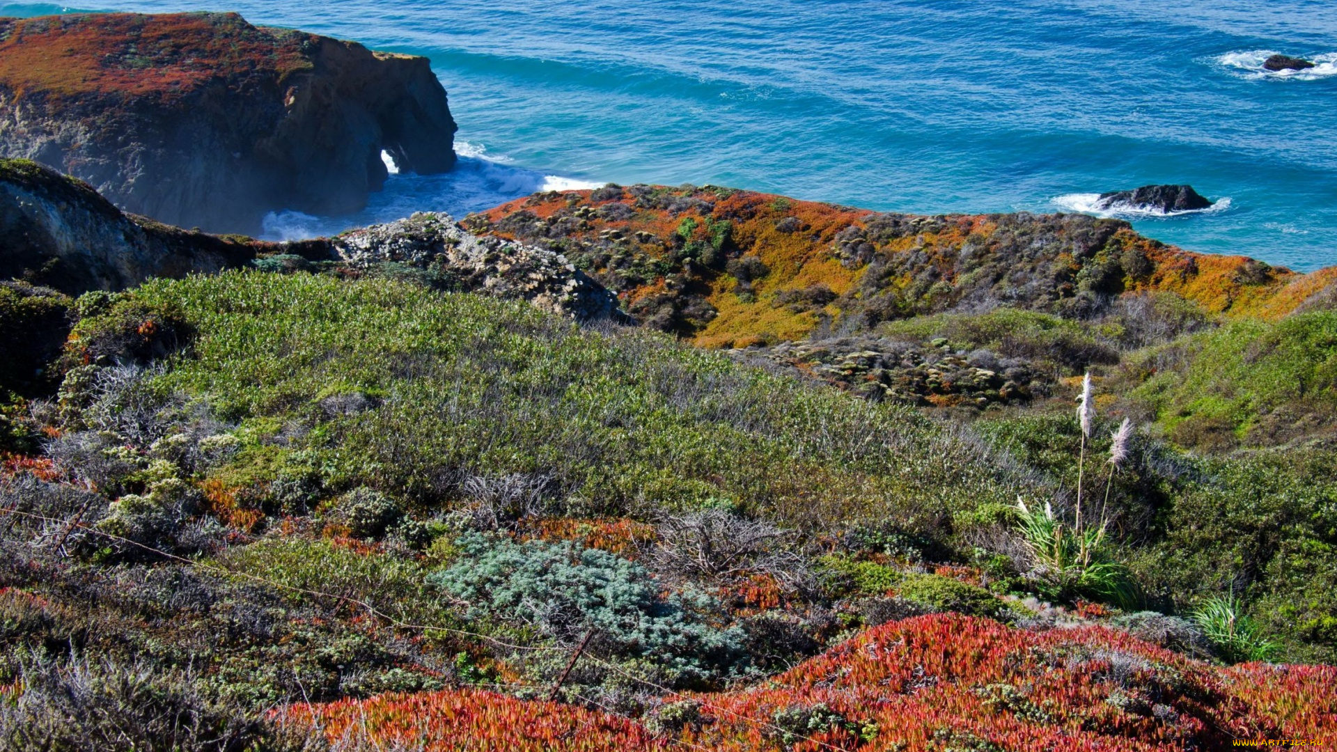 природа, побережье, скалы