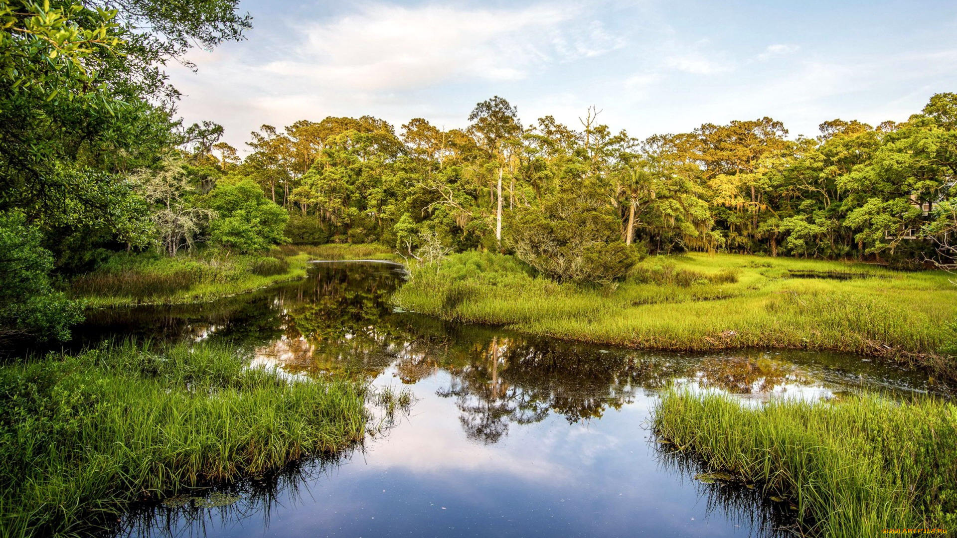 природа, реки, озера, лето, река