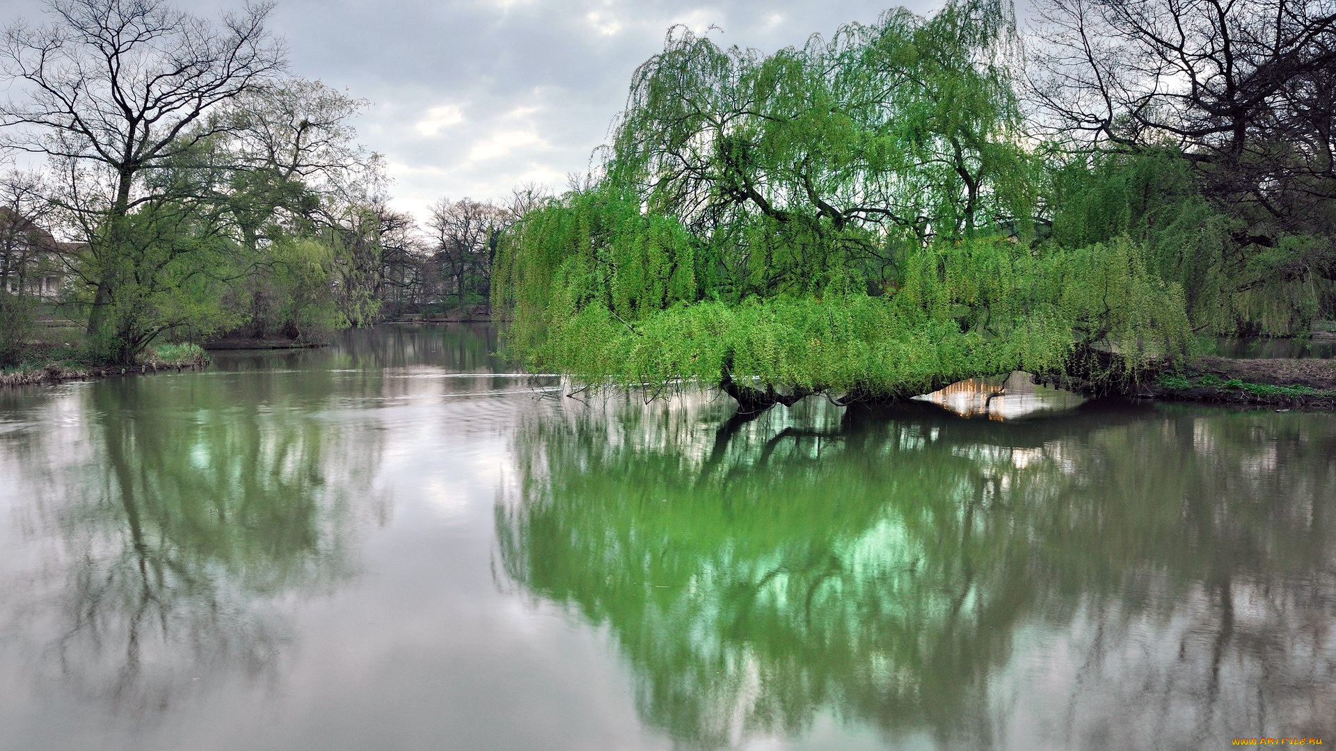 природа, реки, озера, отражение