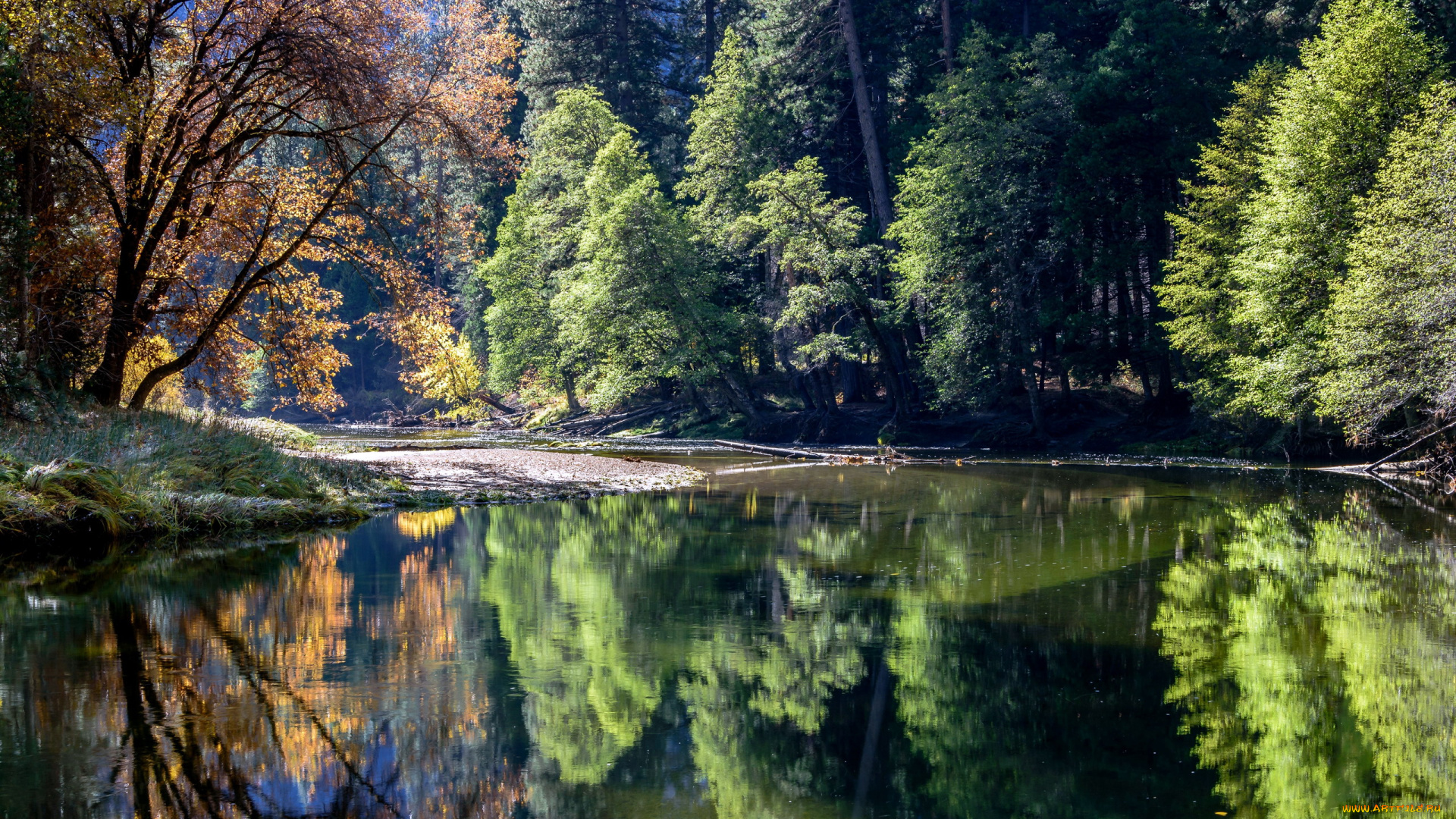 природа, реки, озера, река, осень