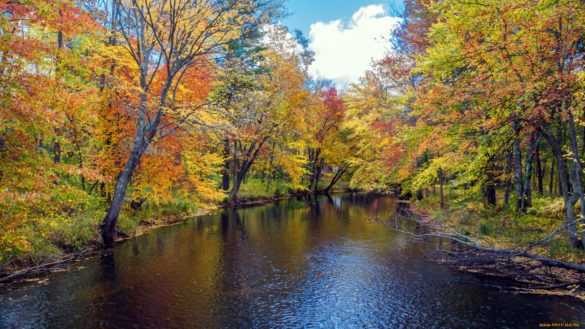 природа, реки, озера, река, осень