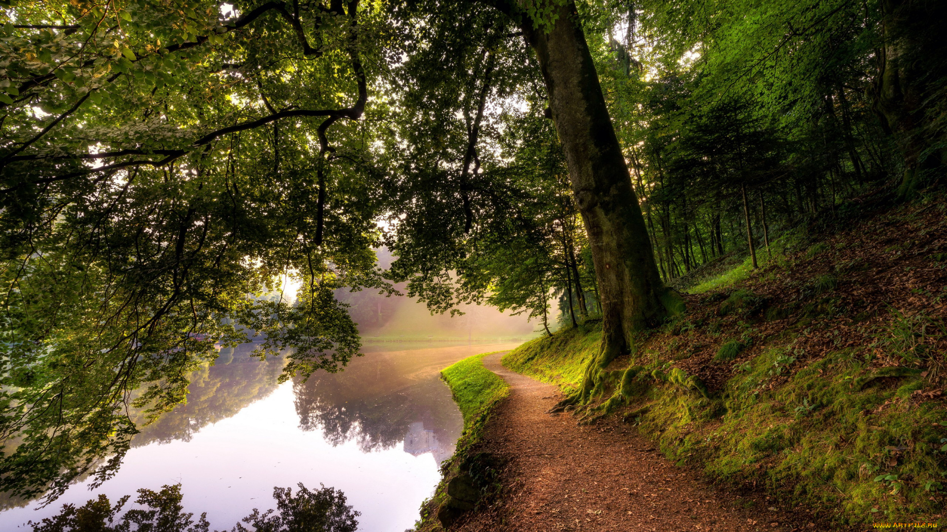 природа, реки, озера, туман