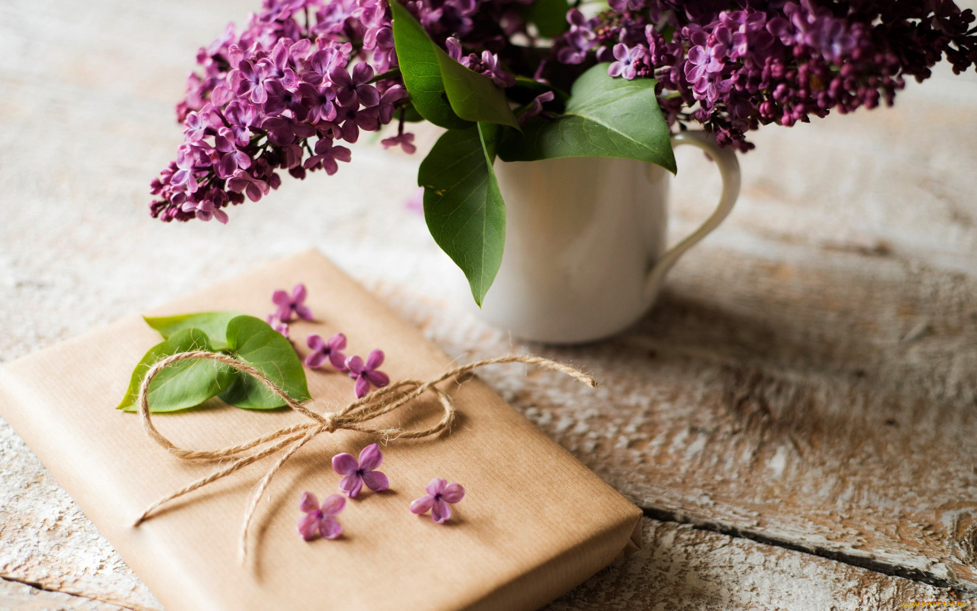 праздничные, подарки, и, коробочки, сирень, подарок, лепестки