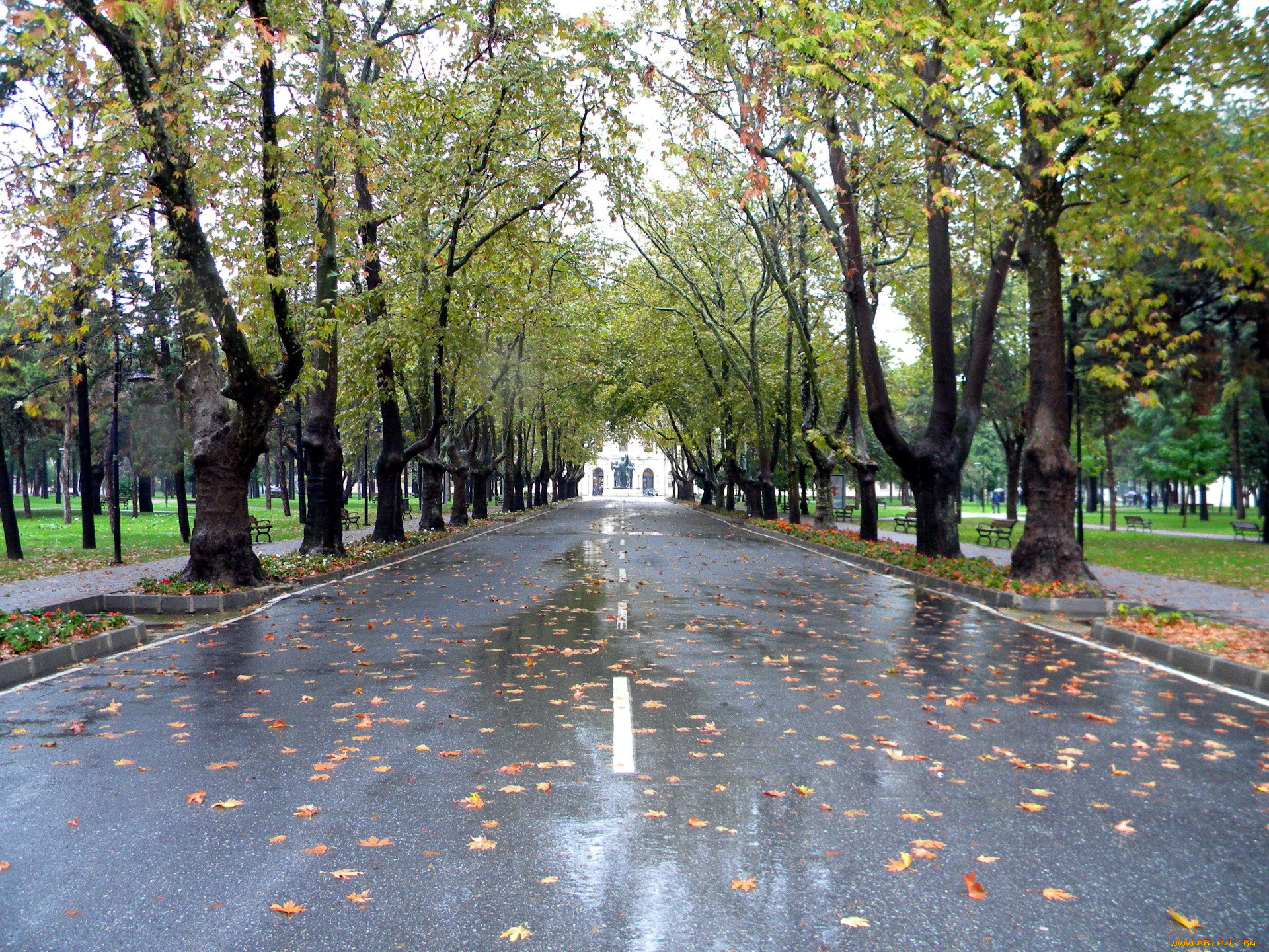 природа, дороги, шоссе