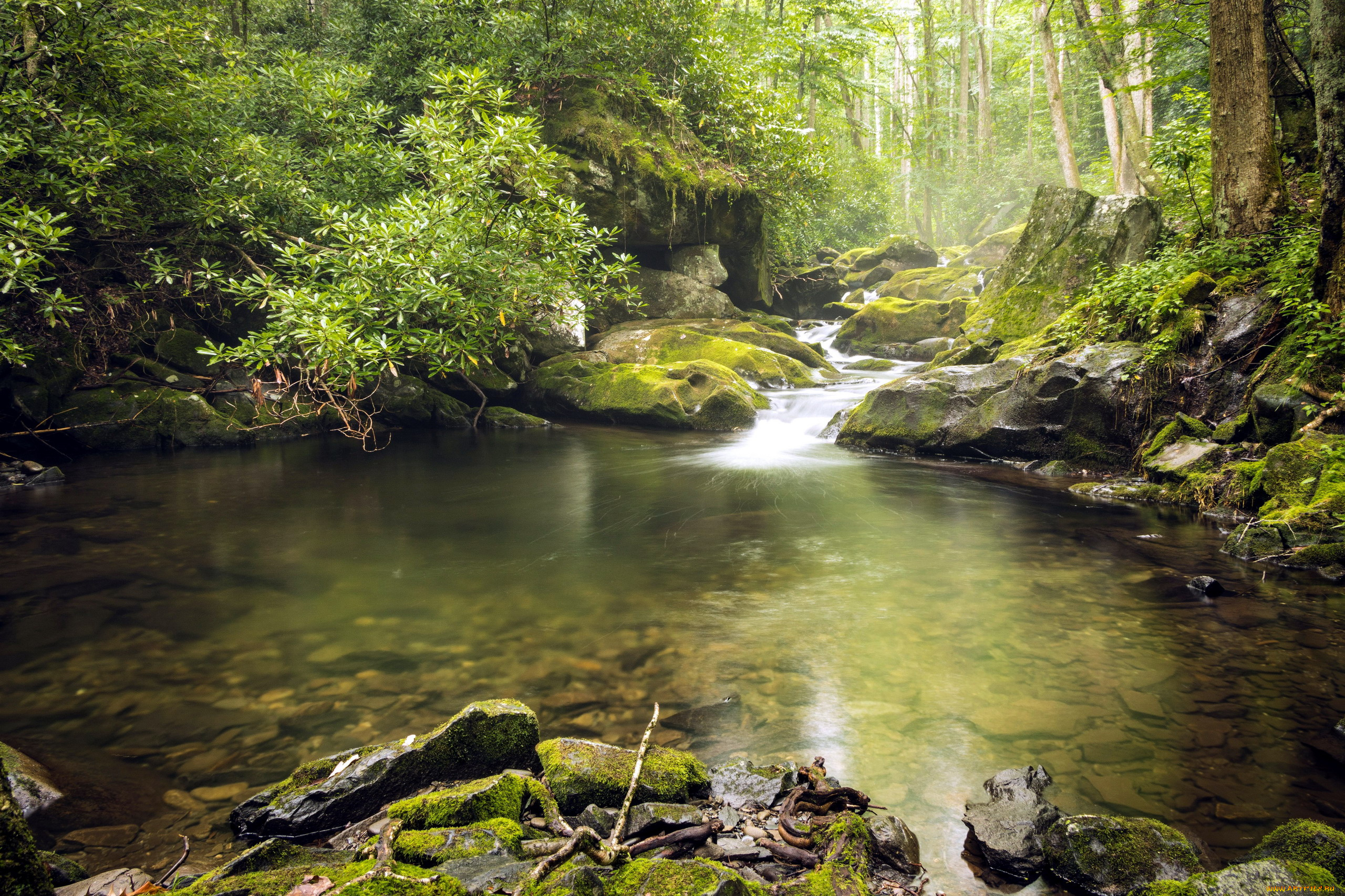 природа, реки, озера, камни