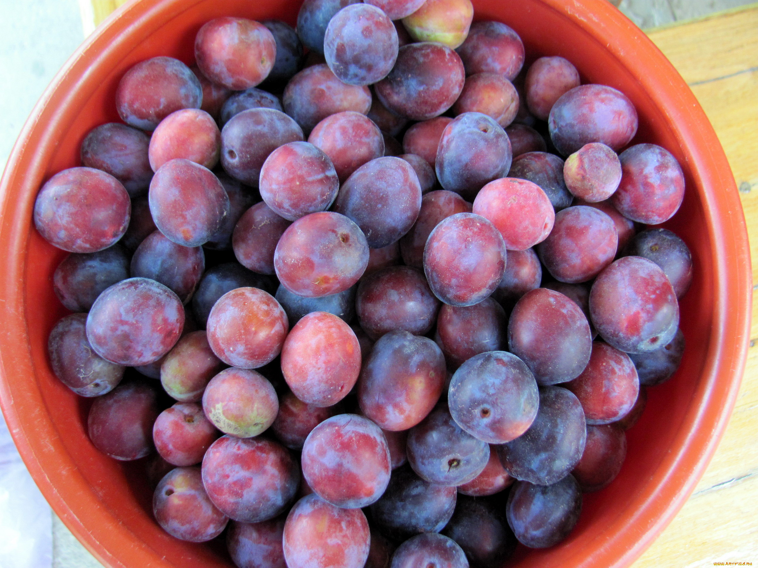 еда, персики, , сливы, , абрикосы, сливы